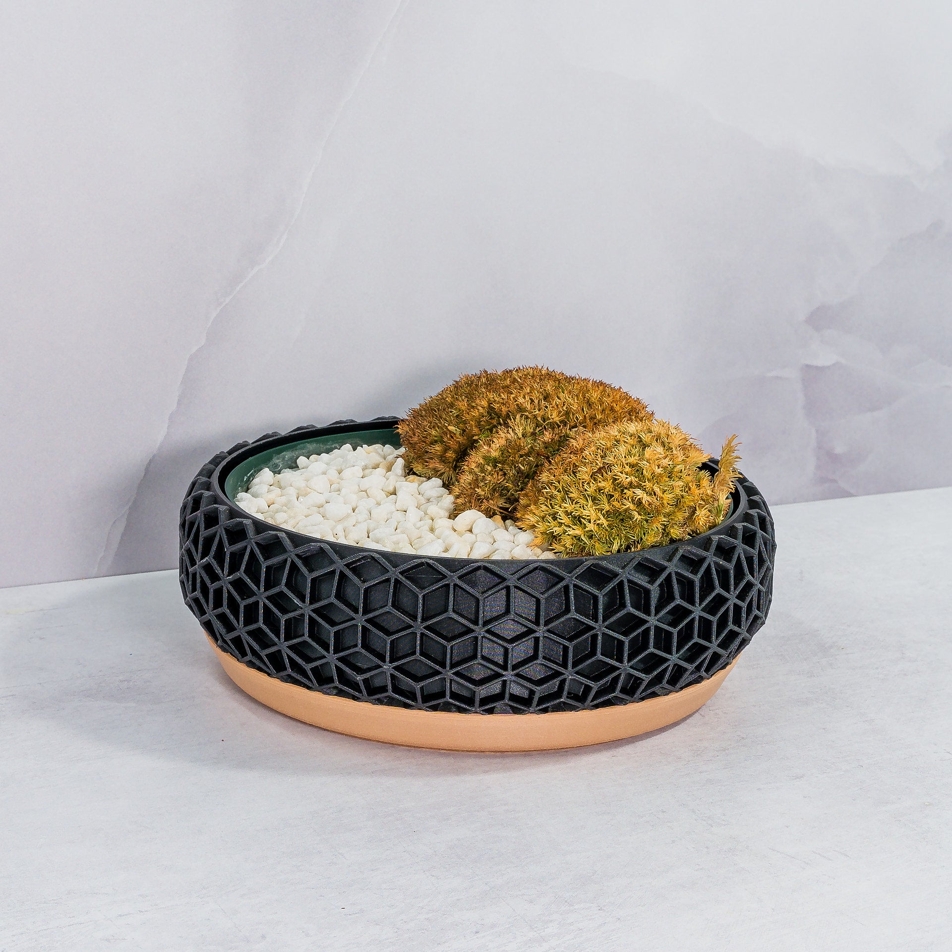 "Angled view of HONEYCOMB bowl planter displaying moss buns in a custom-fit insert, highlighting wood and carbon fibre motif."
