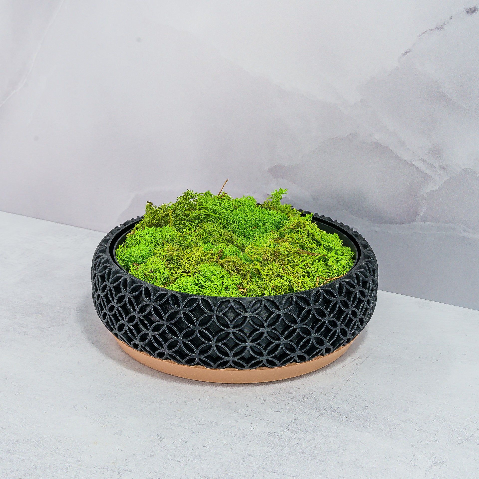 "BLOSSOM bowl planter displayed at an angle with preserved moss in a custom insert, emphasizing wood base and carbon fibre pattern."
