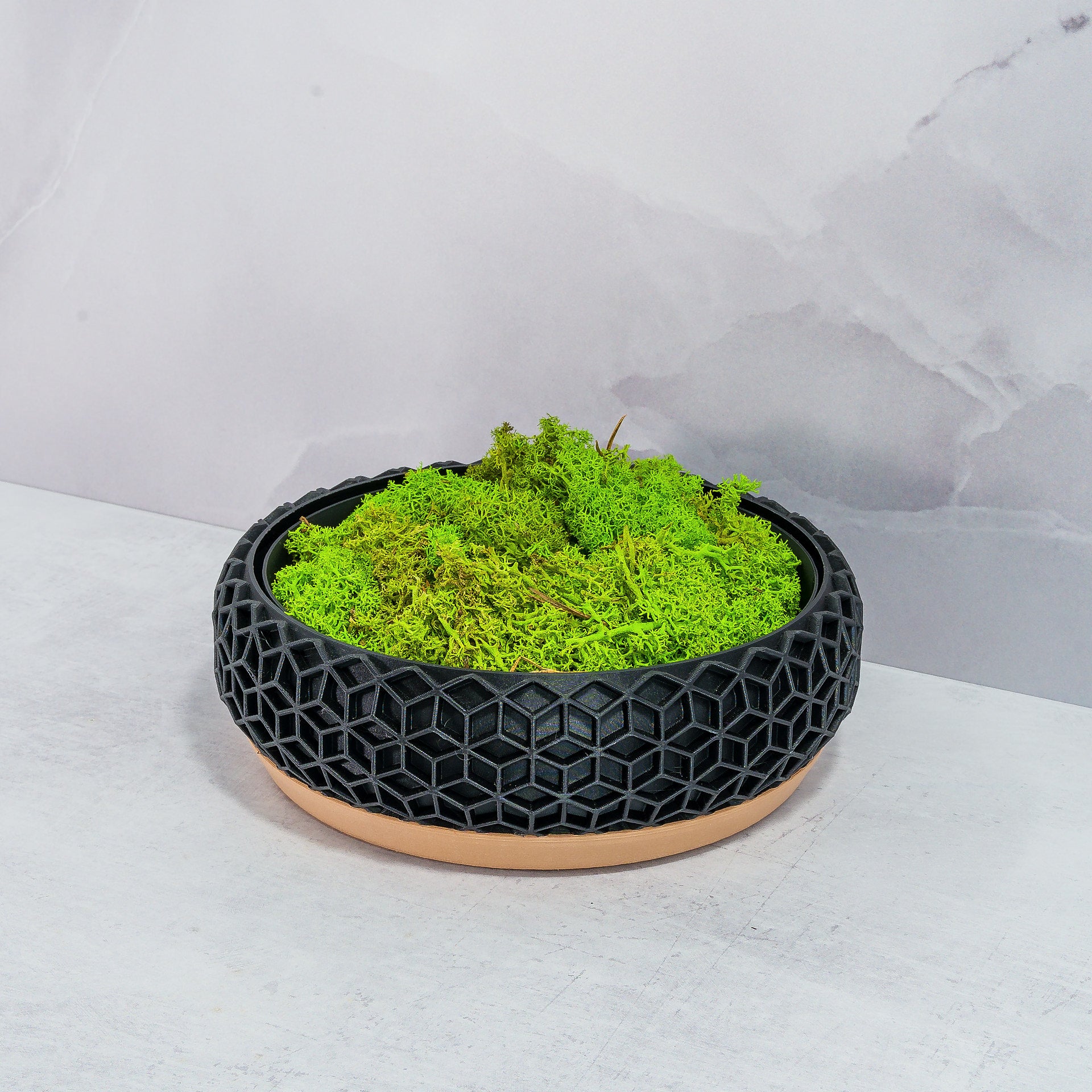 "HONEYCOMB bowl planter at an angle, showcasing preserved moss in a fitted insert, emphasising wood base and carbon fibre design."
