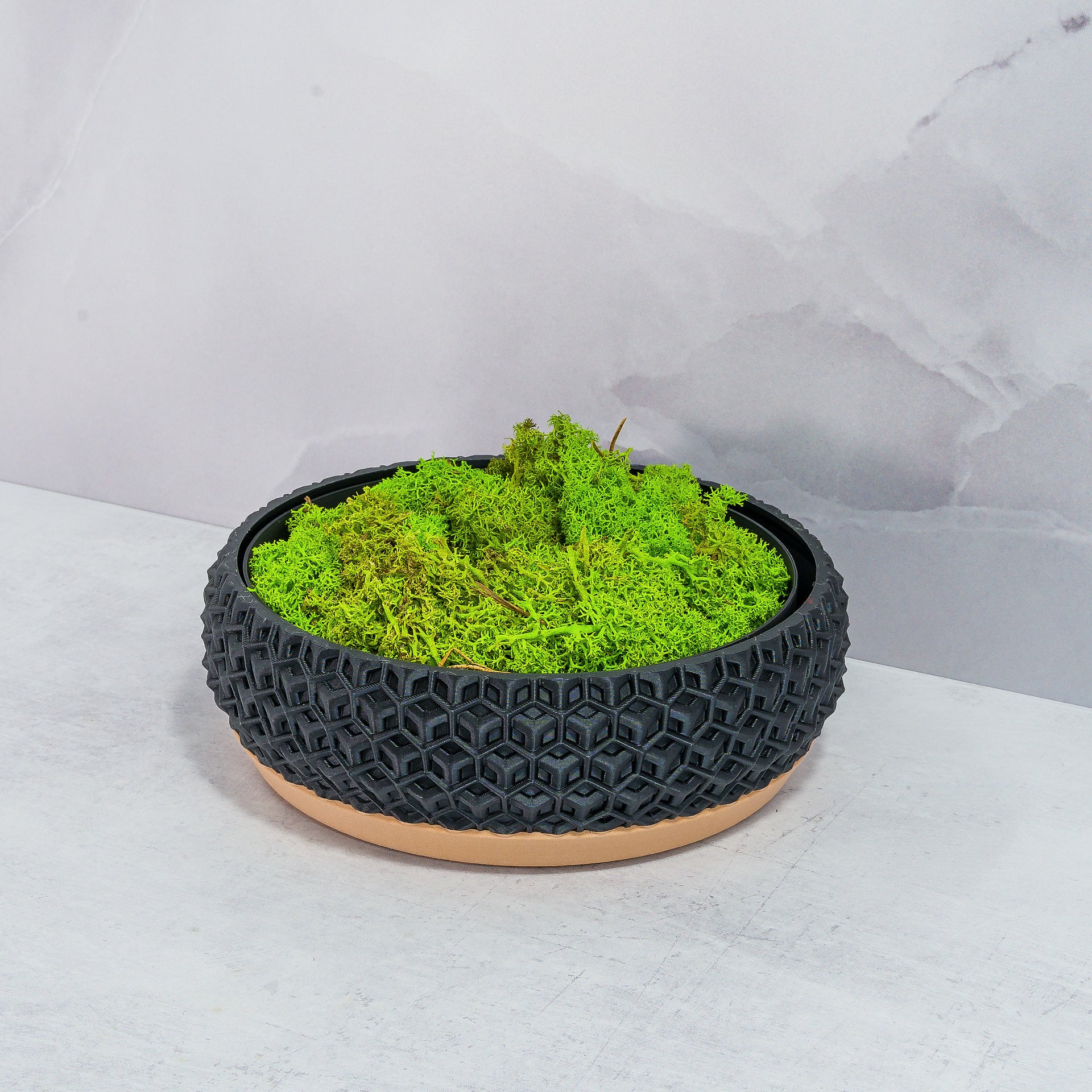 "TRANSFORM bowl planter at an angle, showcasing preserved moss in a fitted insert, emphasizing wood base and carbon fibre pattern."
