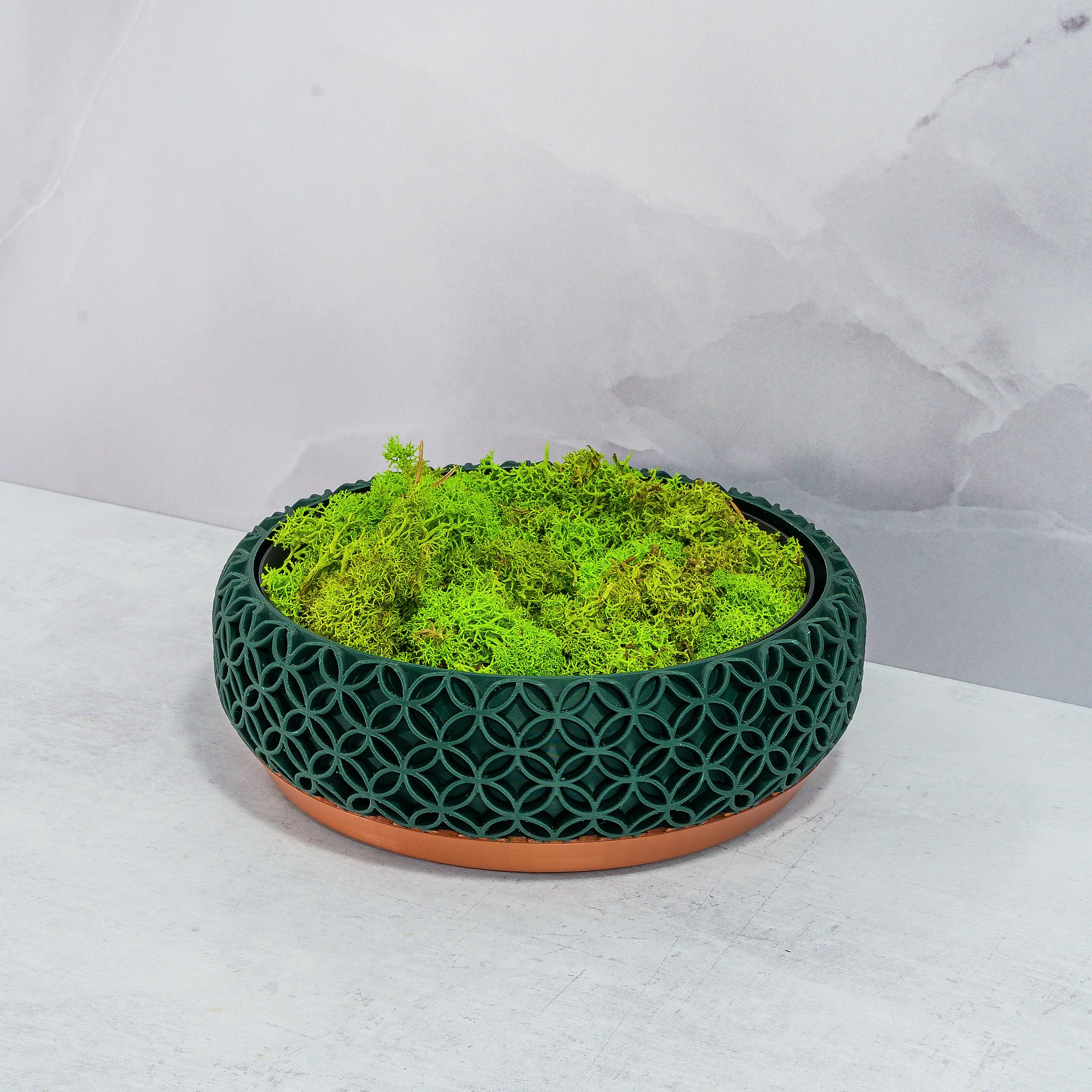 "BLOSSOM bowl planter displayed at an angle with preserved moss in a custom insert, emphasizing copper base and forest pattern."
