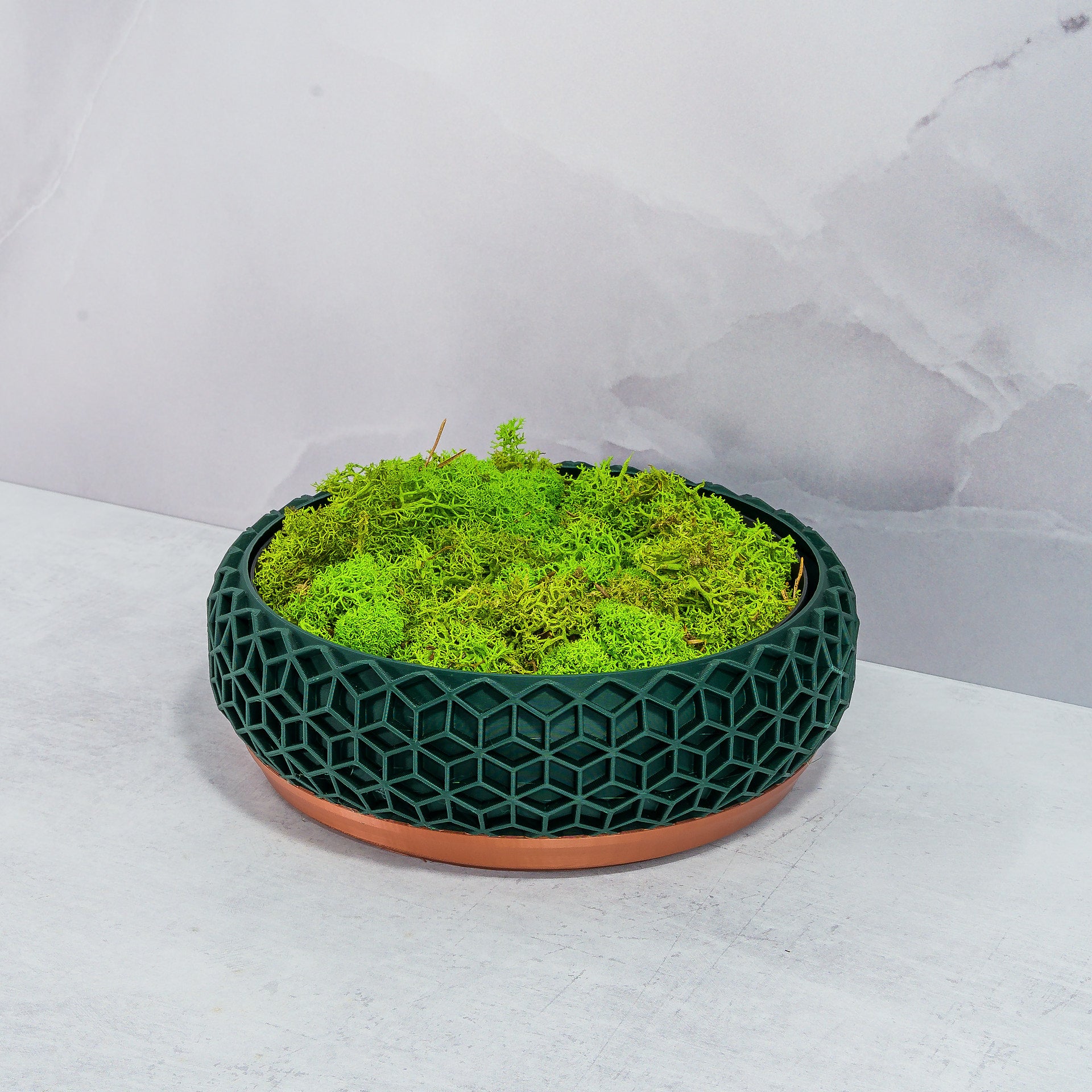 "HONEYCOMB bowl planter at an angle, showcasing preserved moss in a fitted insert, emphasising copper base and forest design."
