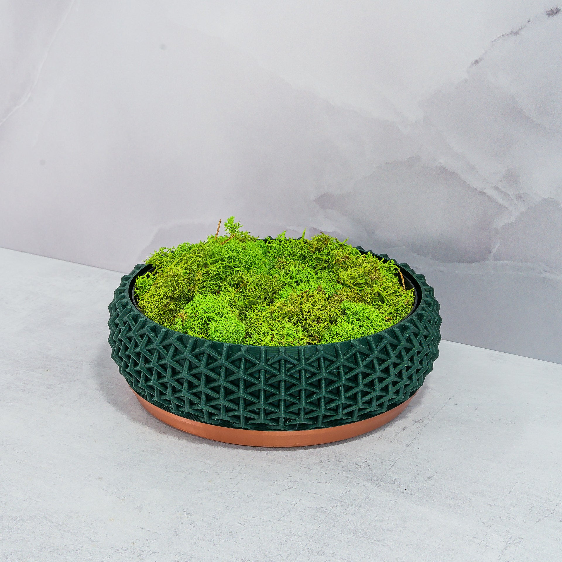 "STELLAR bowl planter at an angle, displaying preserved moss in a fitted insert, highlighting the copper and forest pattern."
