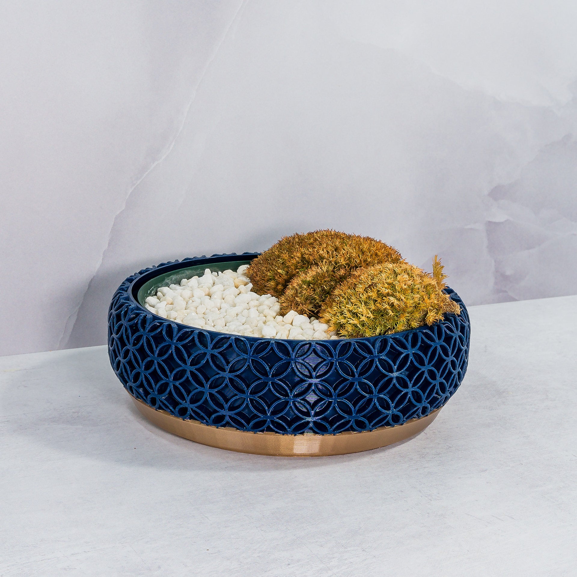 "Angled shot of BLOSSOM bowl planter with moss buns in a fitted insert, highlighting gold and navy design."
