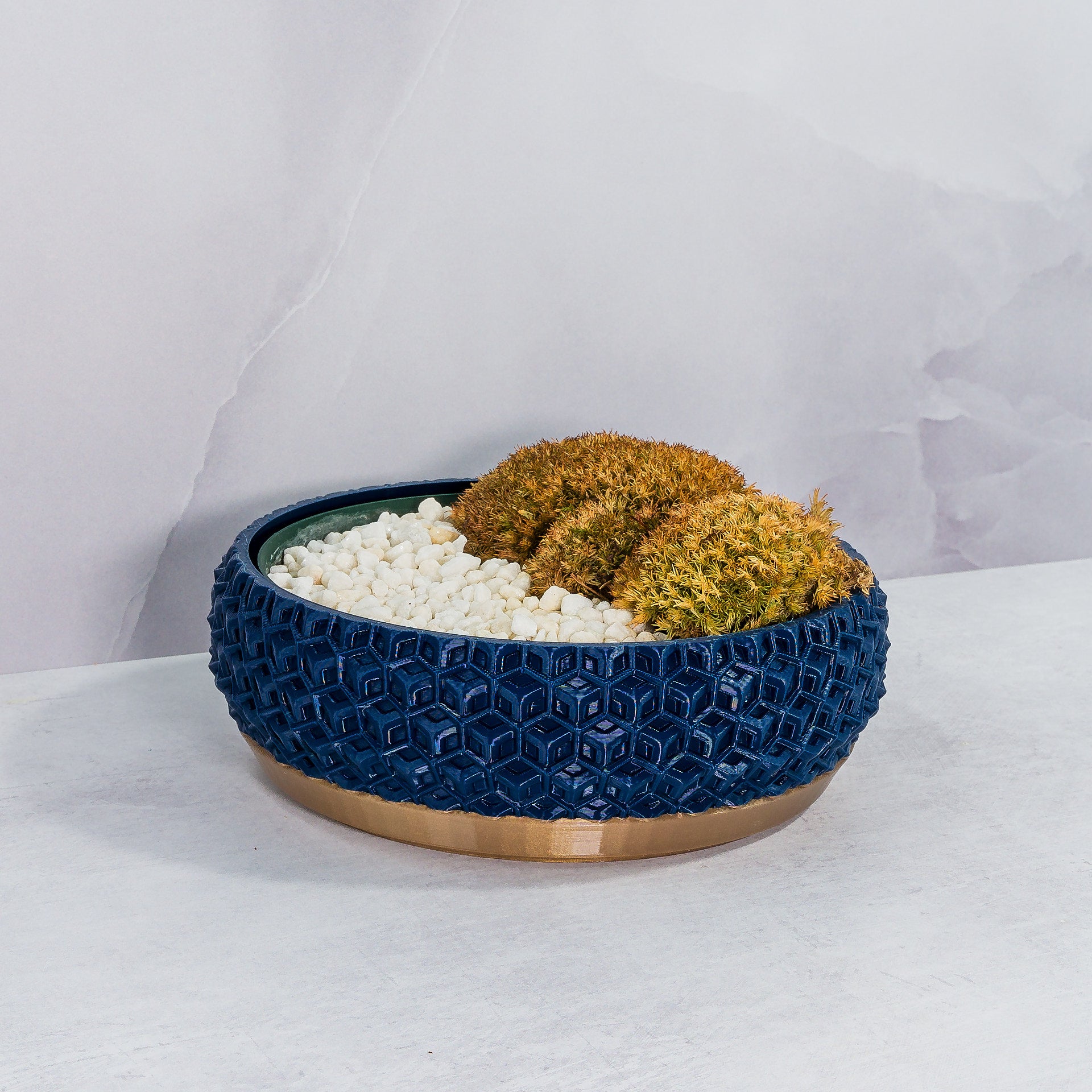 "Angled view of TRANSFORM bowl planter displaying moss buns in a custom-fit insert, highlighting gold and navy design."
