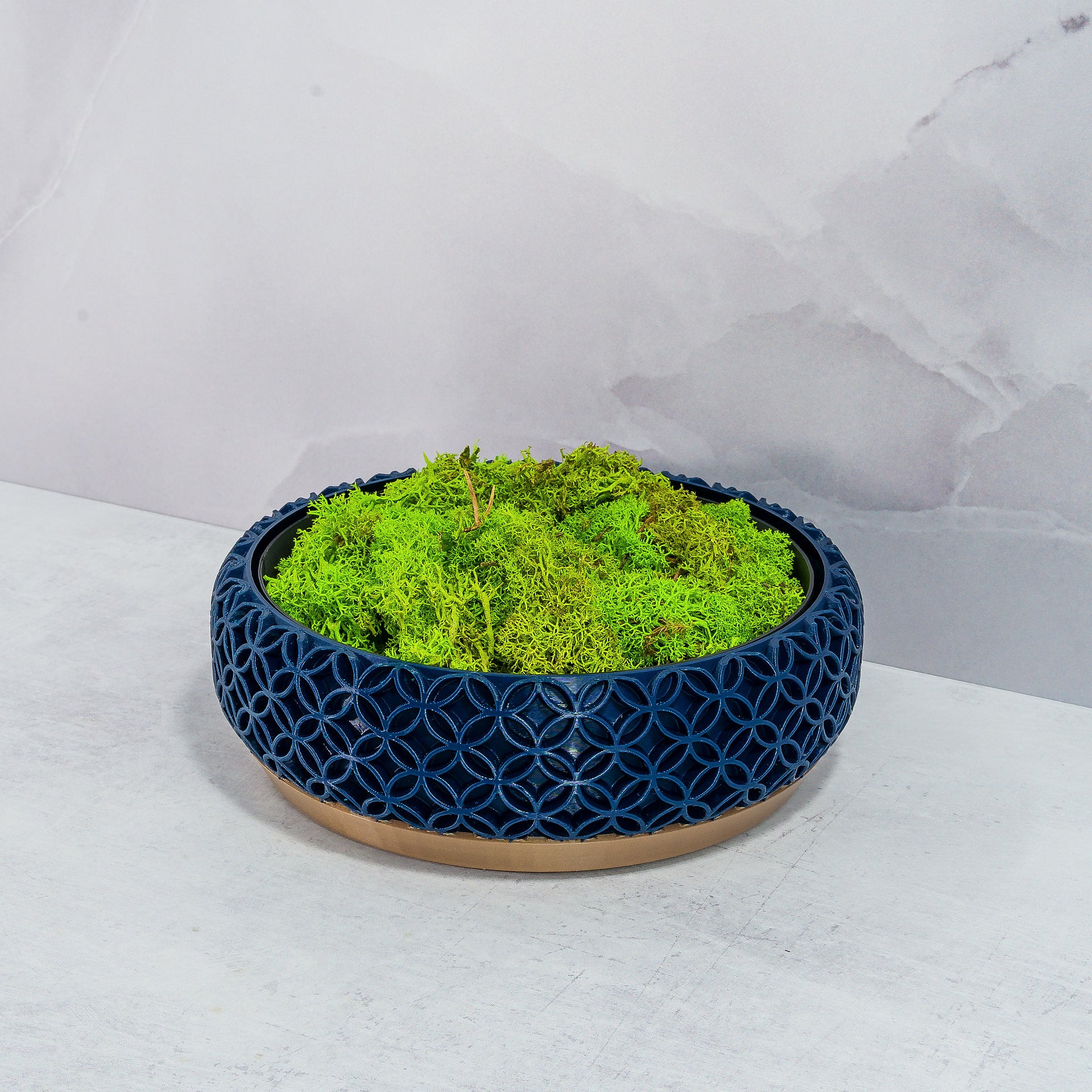 "BLOSSOM bowl planter displayed at an angle with preserved moss in a custom insert, emphasising gold base and navy pattern."
