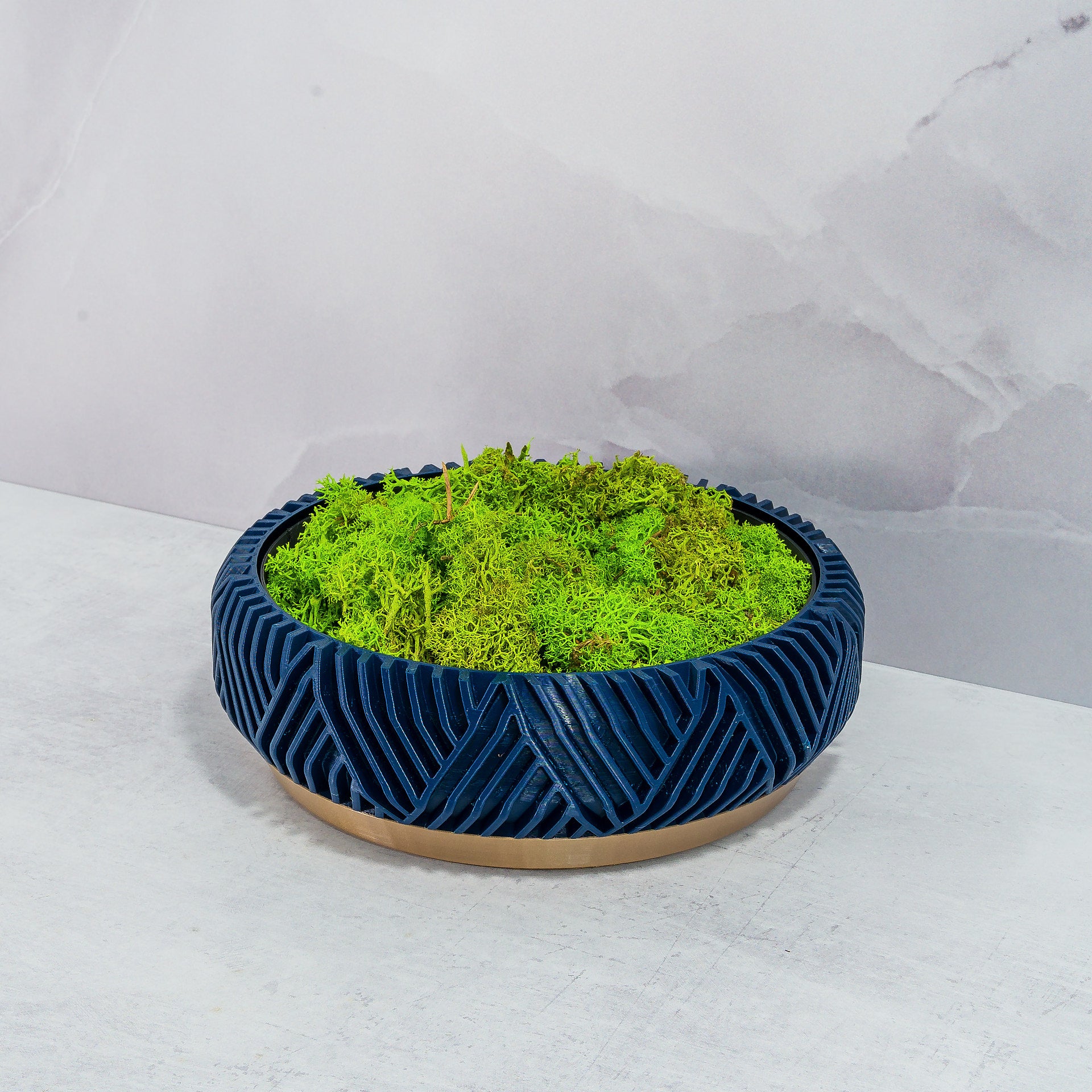 "PEAK bowl planter displayed at an angle with preserved moss in a custom insert, highlighting gold base and navy pattern."
