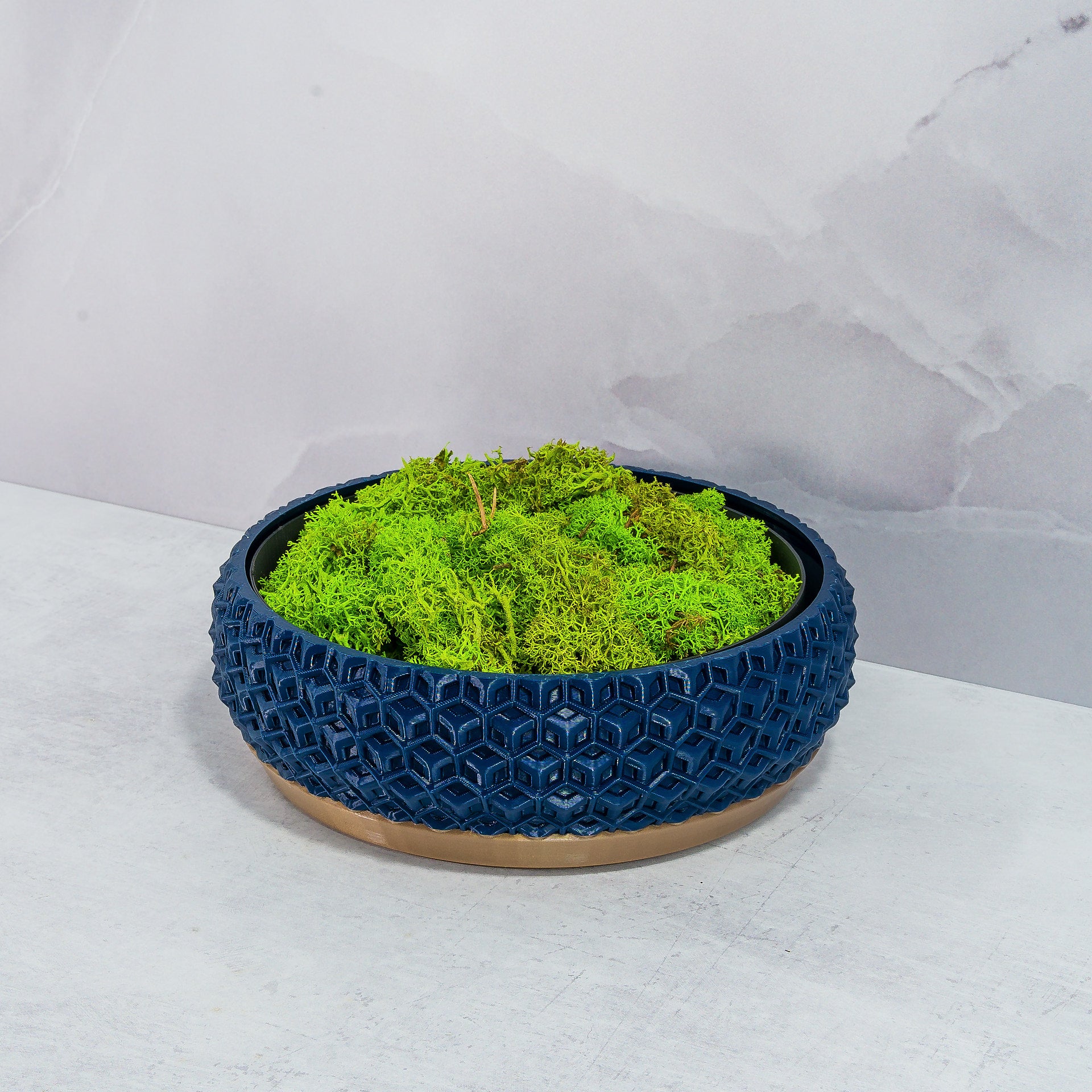 "TRANSFORM bowl planter at an angle, showcasing preserved moss in a fitted insert, emphasising gold base and navy pattern."
