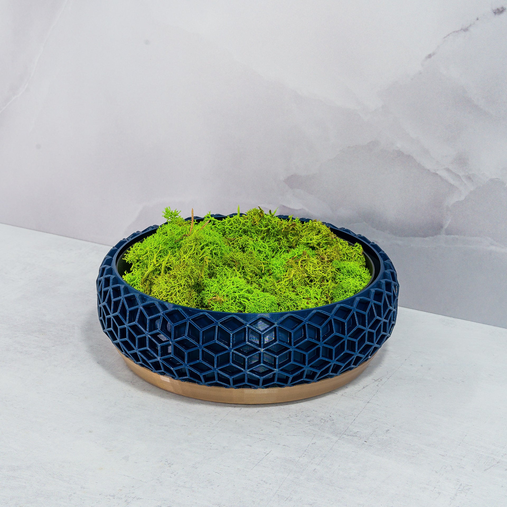 "HONEYCOMB bowl planter at an angle, showcasing preserved moss in a fitted insert, emphasising gold base and navy design."
