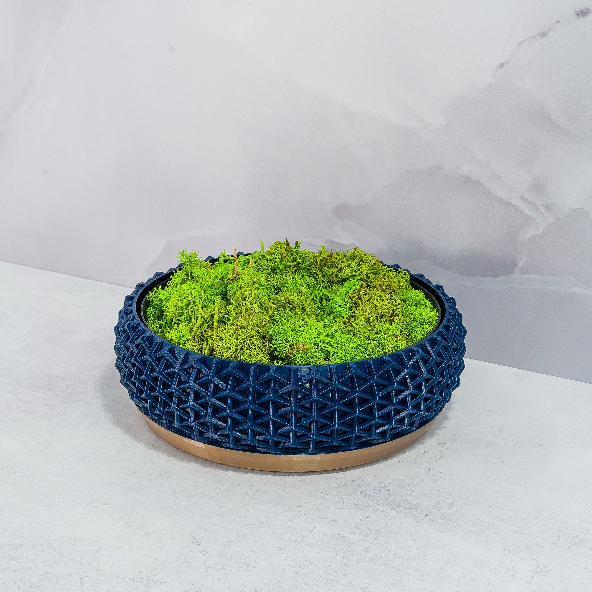 "STELLAR bowl planter at an angle, displaying preserved moss in a fitted insert, highlighting the gold and navy pattern."
