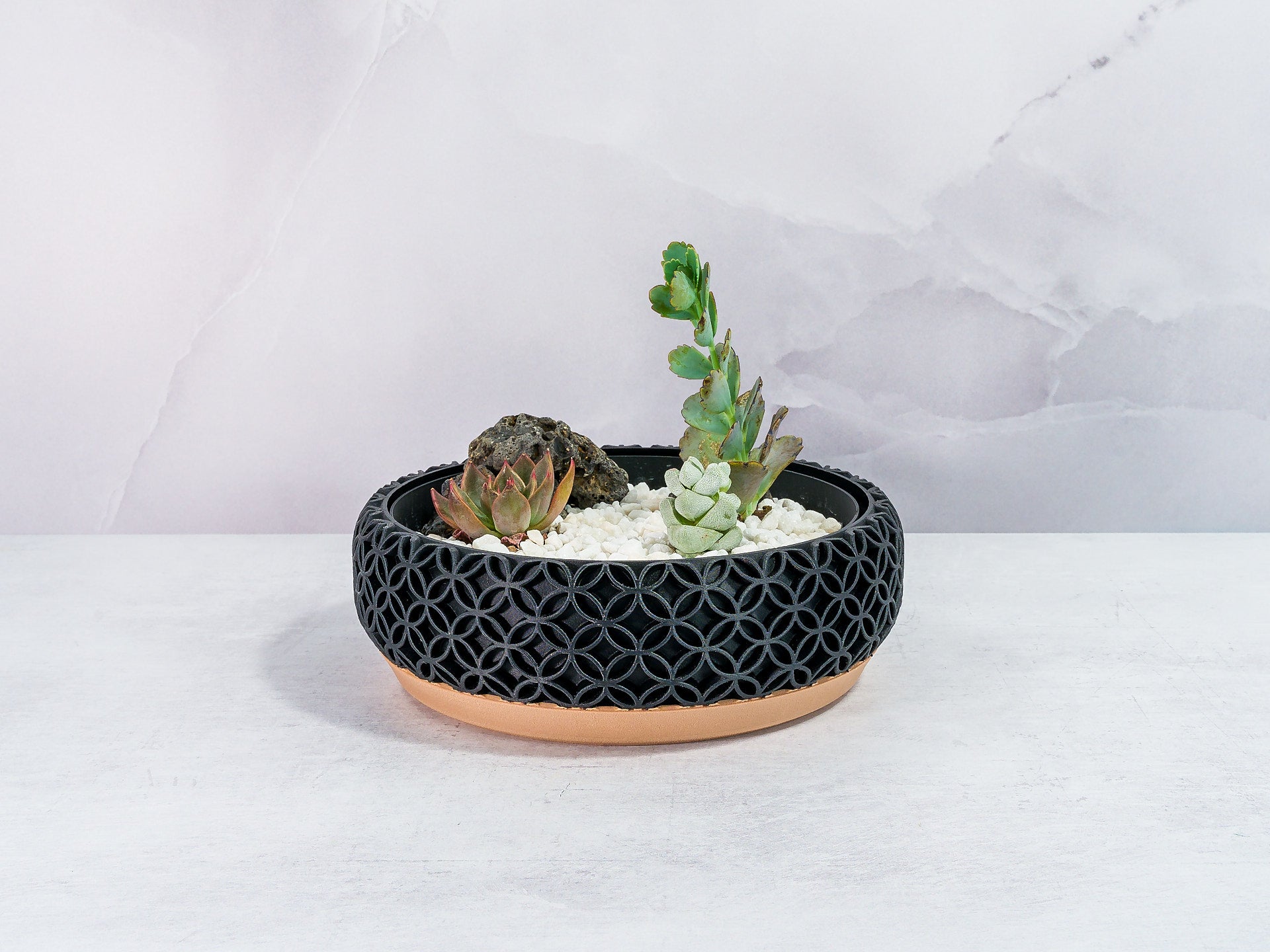 "Front view of BLOSSOM bowl planter featuring a vibrant succulent garden in a fitted insert, showcasing wood and carbon fibre design."
