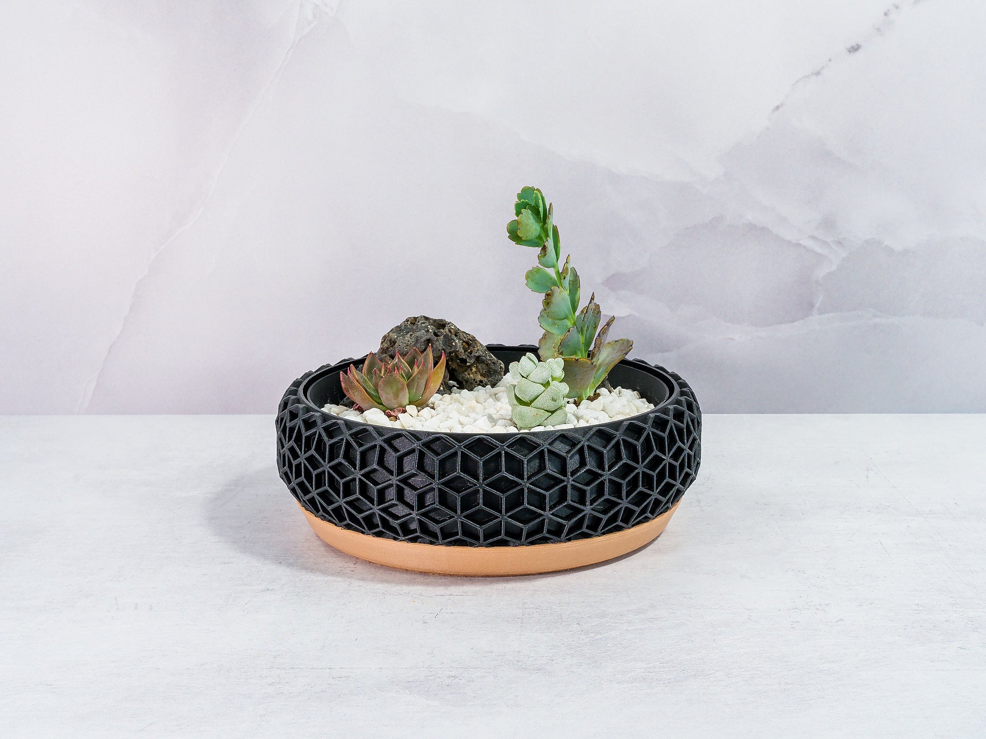 "Front view of HONEYCOMB bowl planter with a lush succulent garden in a custom insert, featuring wood base and carbon fibre pattern."
