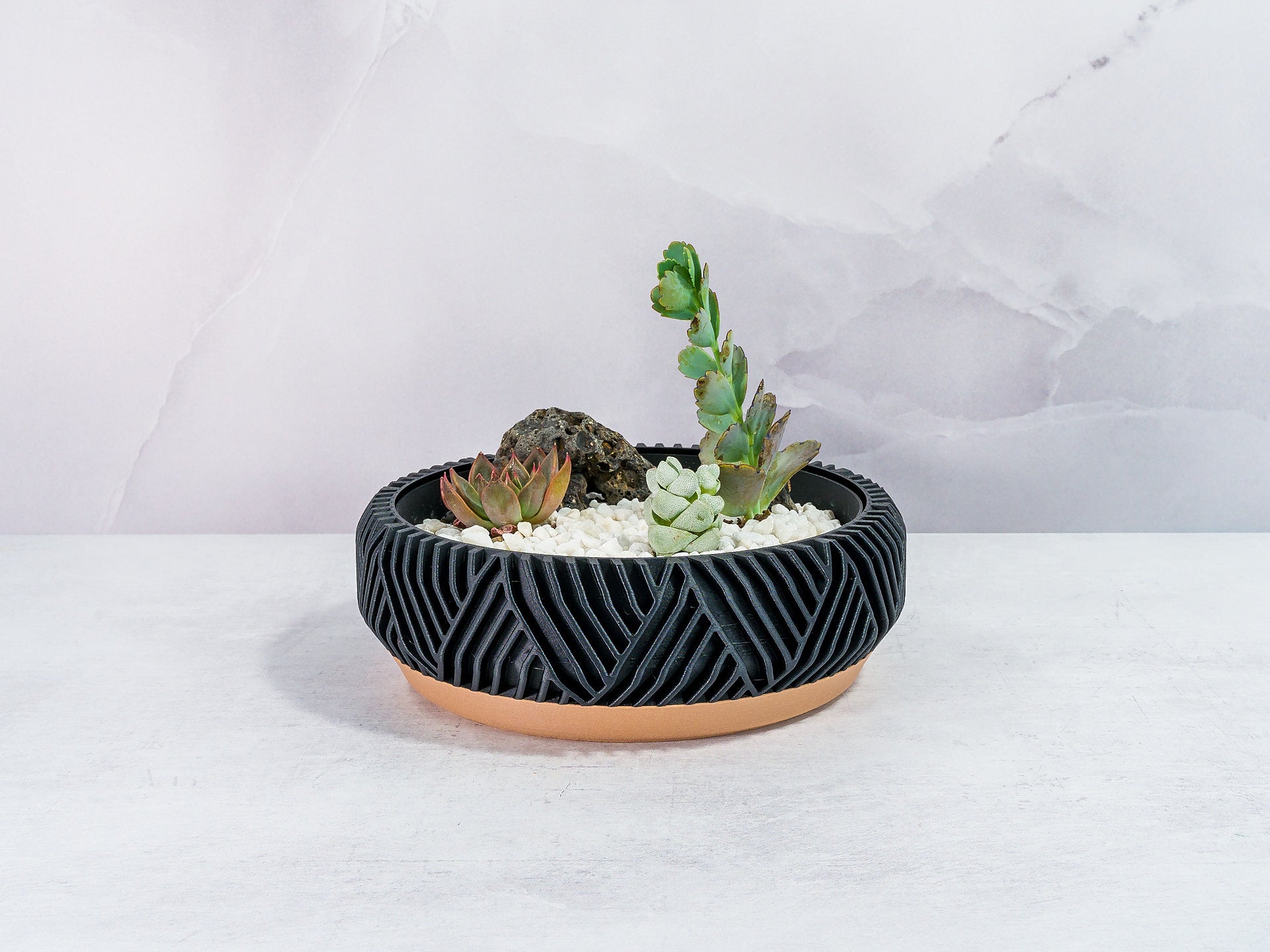 "Front-facing PEAK bowl planter featuring a diverse succulent garden in a fitted insert, emphasizing wood and carbon fibre motif."
