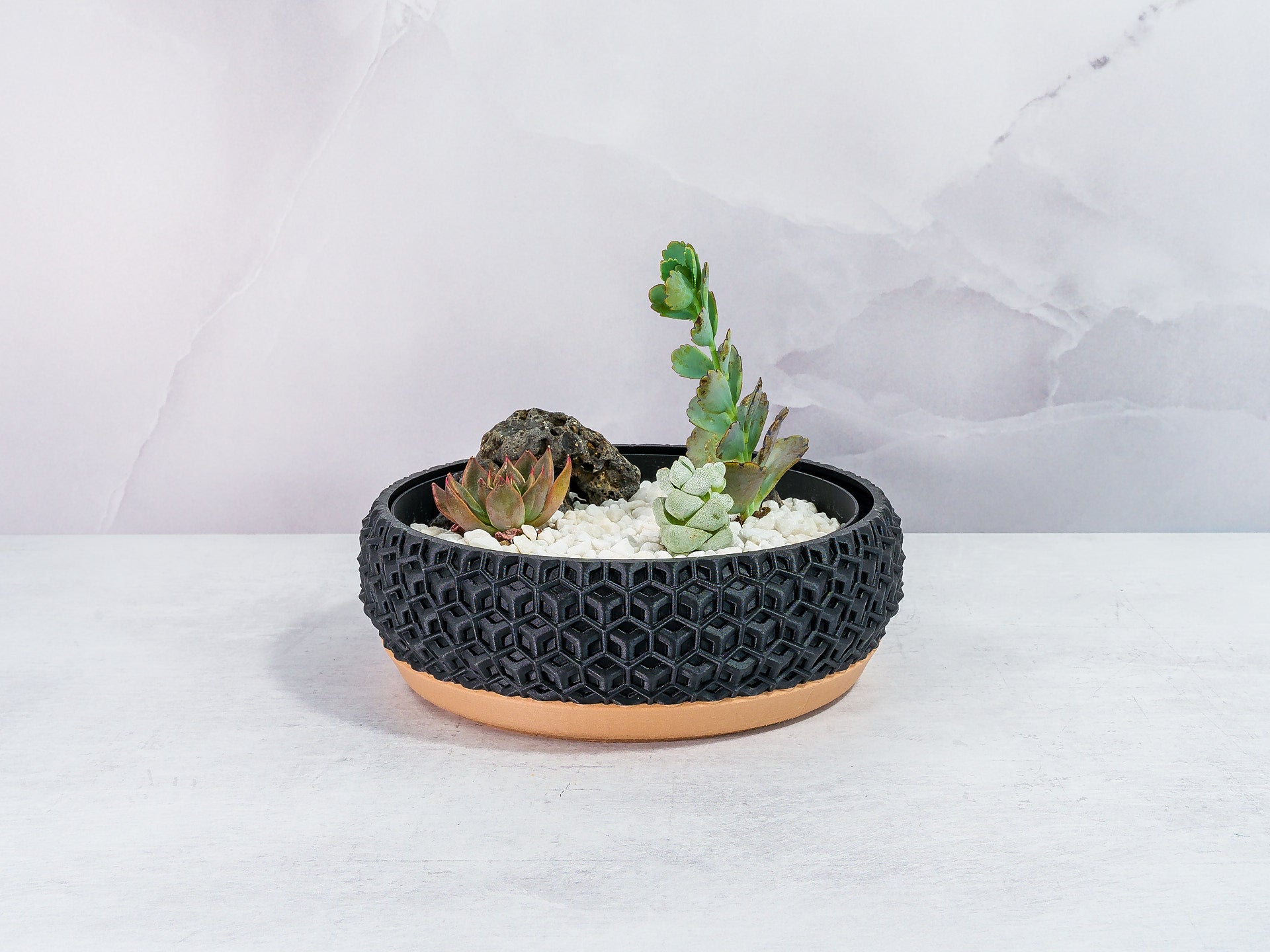 "Front view of TRANSFORM bowl planter with a colorful succulent arrangement in a custom insert, featuring wood base and carbon fibre motif."
