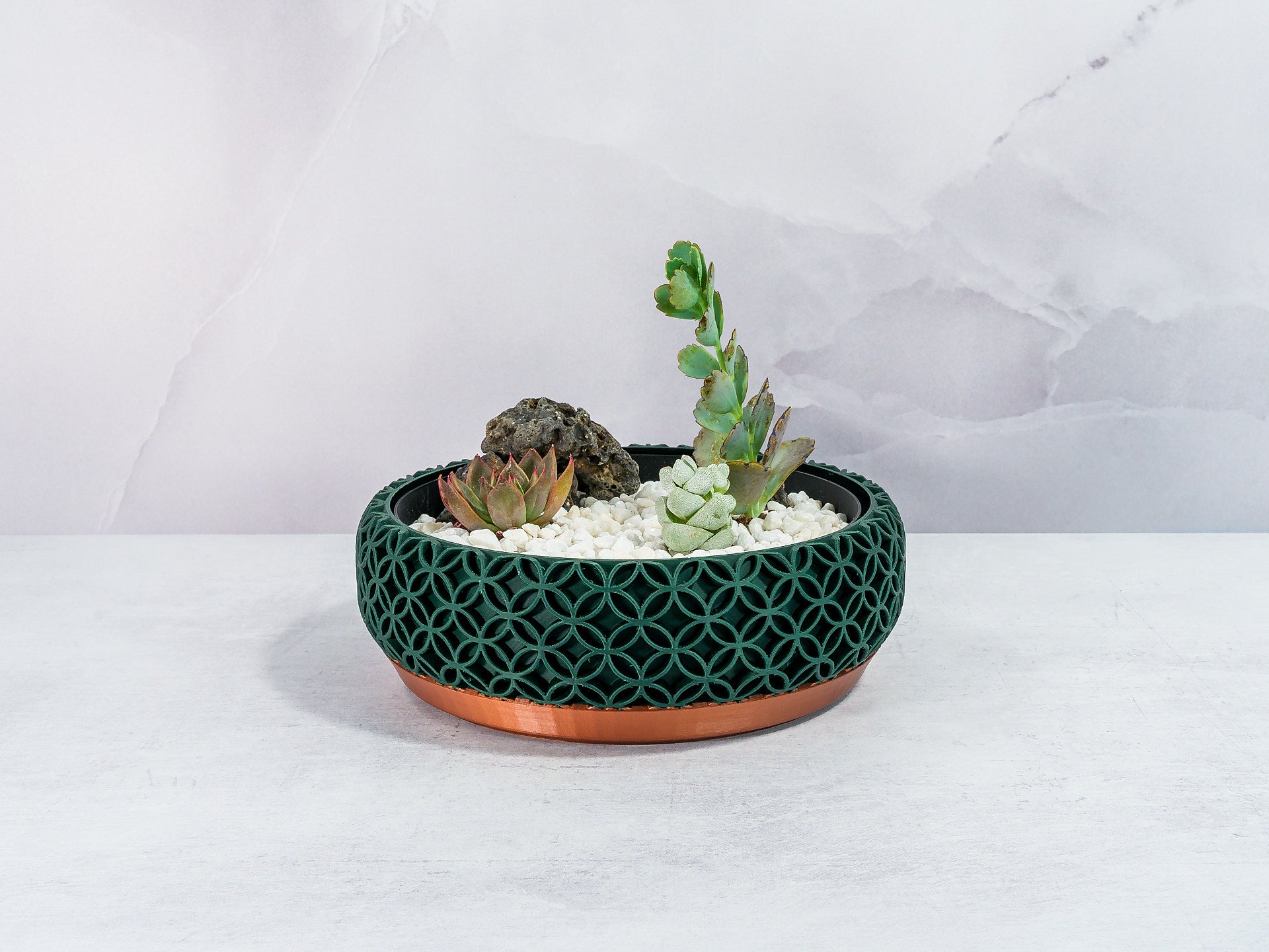 "Front view of BLOSSOM bowl planter featuring a vibrant succulent garden in a fitted insert, showcasing copper and forest design."
