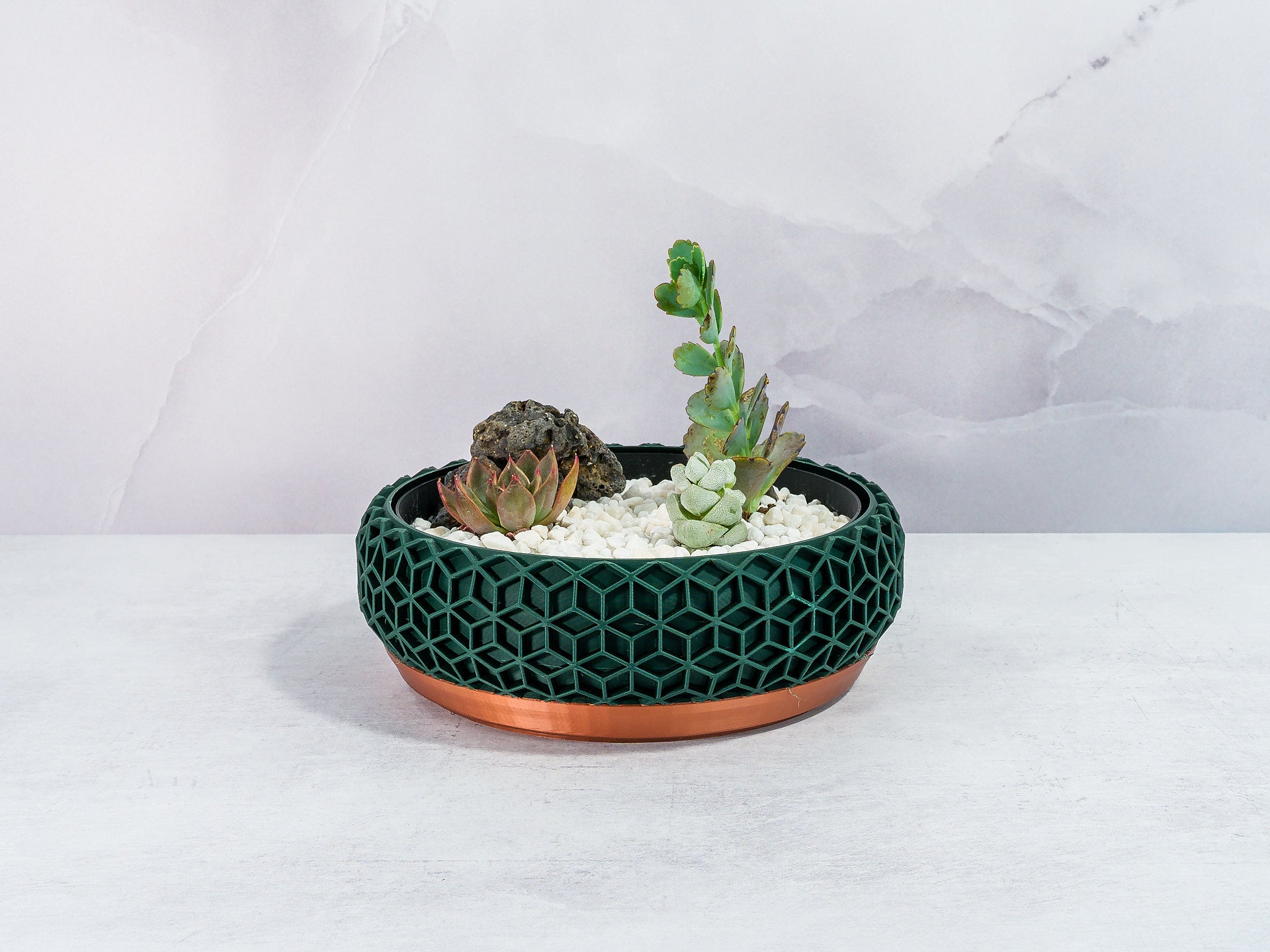 "Front view of HONEYCOMB bowl planter with a lush succulent garden in a custom insert, featuring copper base and forest pattern."
