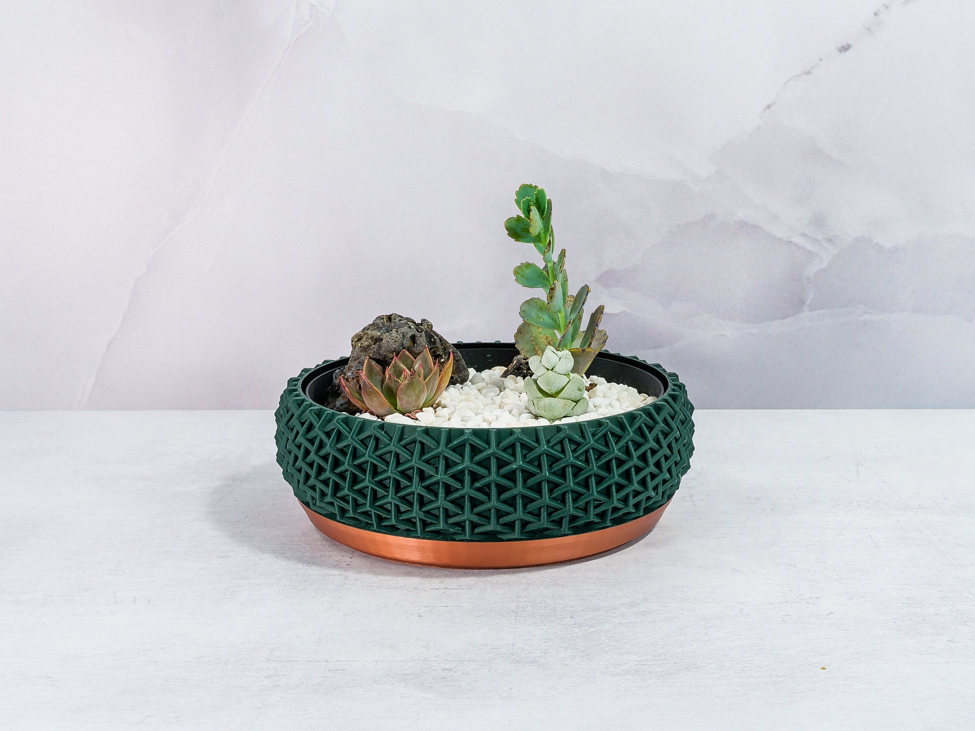 "Front-facing STELLAR bowl planter featuring a succulent garden in a custom insert, emphasizing the copper base and forest motif."
