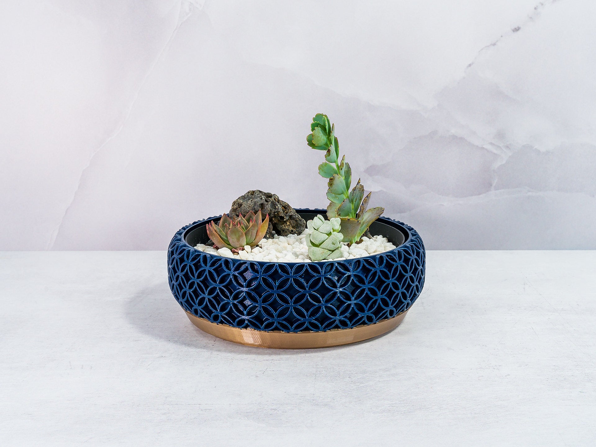 "Front view of BLOSSOM bowl planter featuring a vibrant succulent garden in a fitted insert, showcasing gold and navy design."
