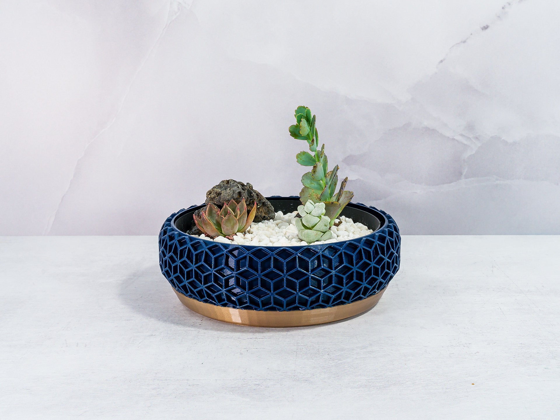 "Front view of HONEYCOMB bowl planter with a lush succulent garden in a custom insert, featuring gold base and navy pattern."
