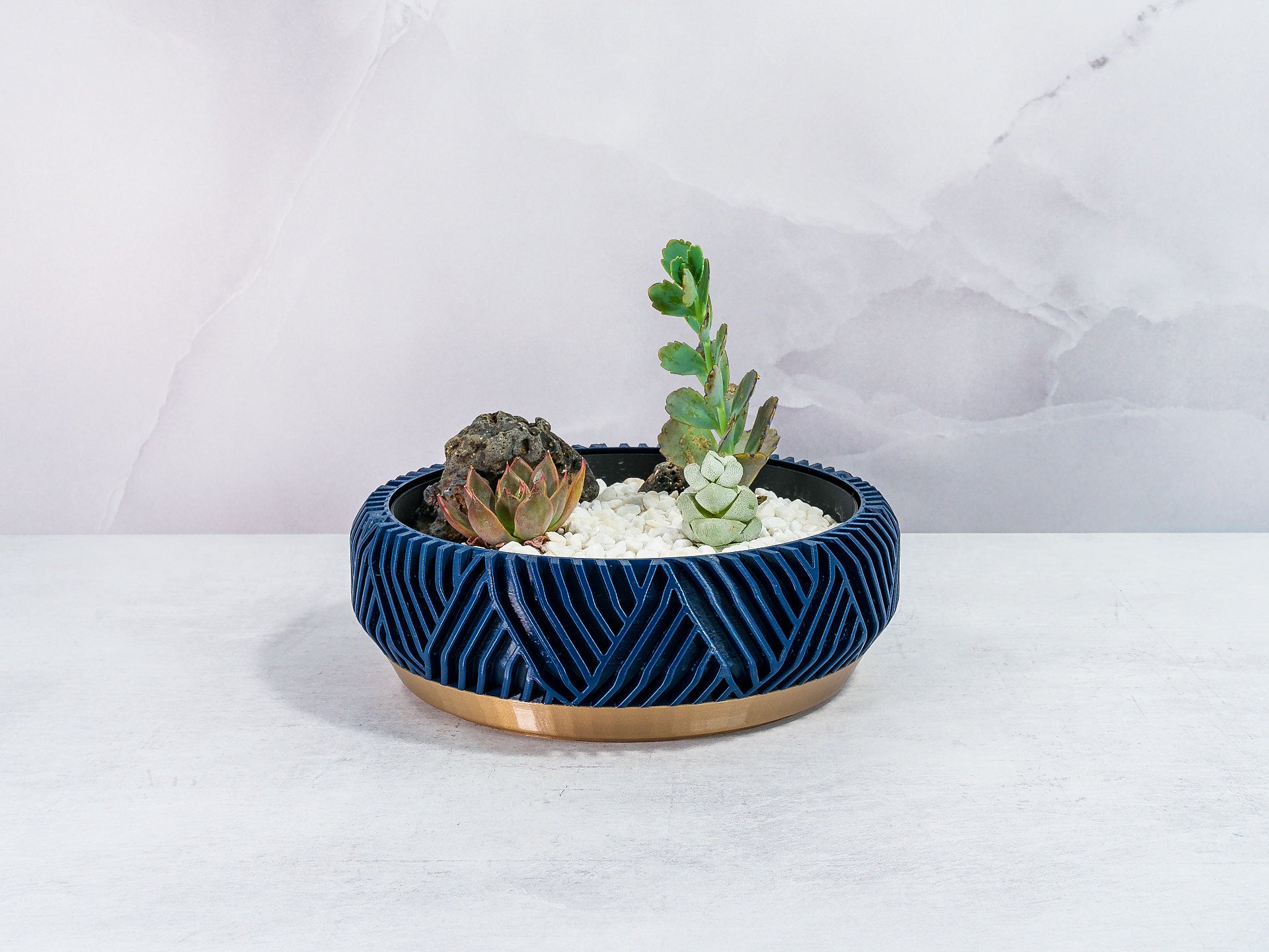 "Front-facing PEAK bowl planter featuring a diverse succulent garden in a fitted insert, emphasising gold and navy motif."
