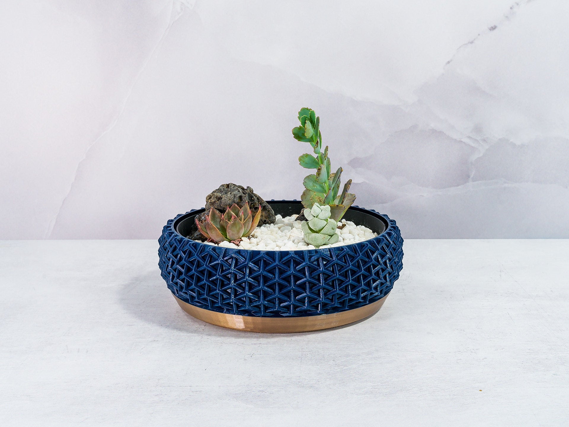 "Front-facing STELLAR bowl planter featuring a succulent garden in a custom insert, emphasising the gold base and navy motif."
