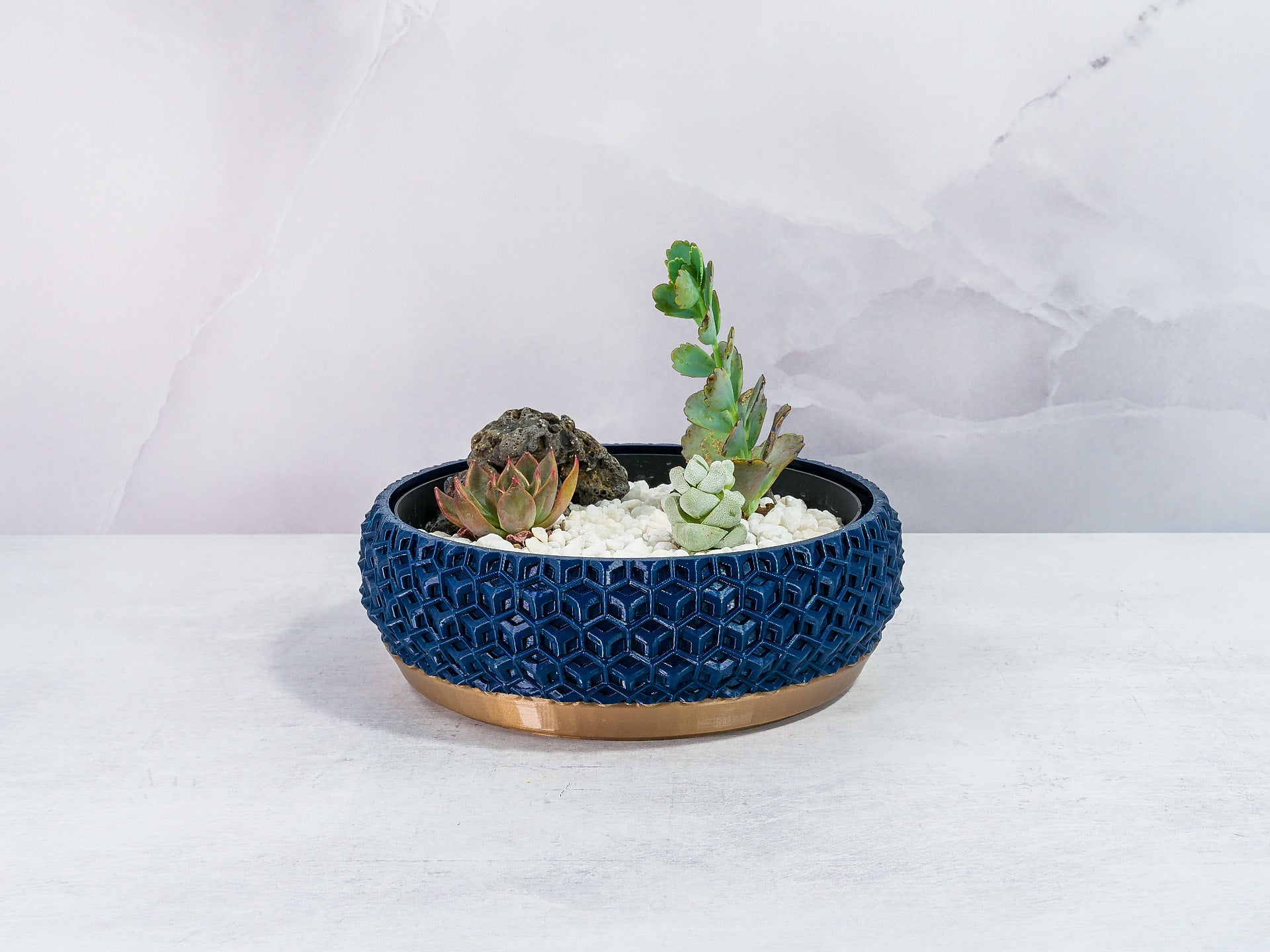 "Front view of TRANSFORM bowl planter with a colorful succulent arrangement in a custom insert, featuring gold base and navy motif."
