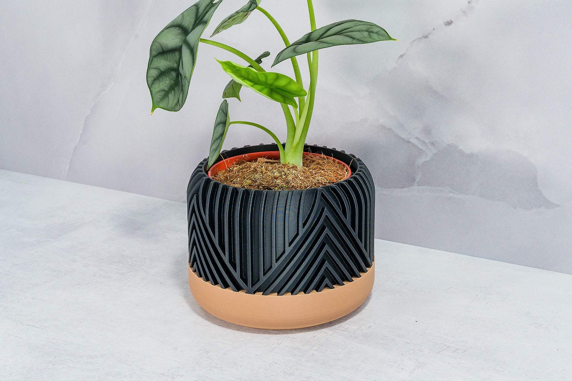 Angled with Alocasia: "Side angle of VERTI planter with wood base and carbon fibre pattern, displaying an alocasia plant."
