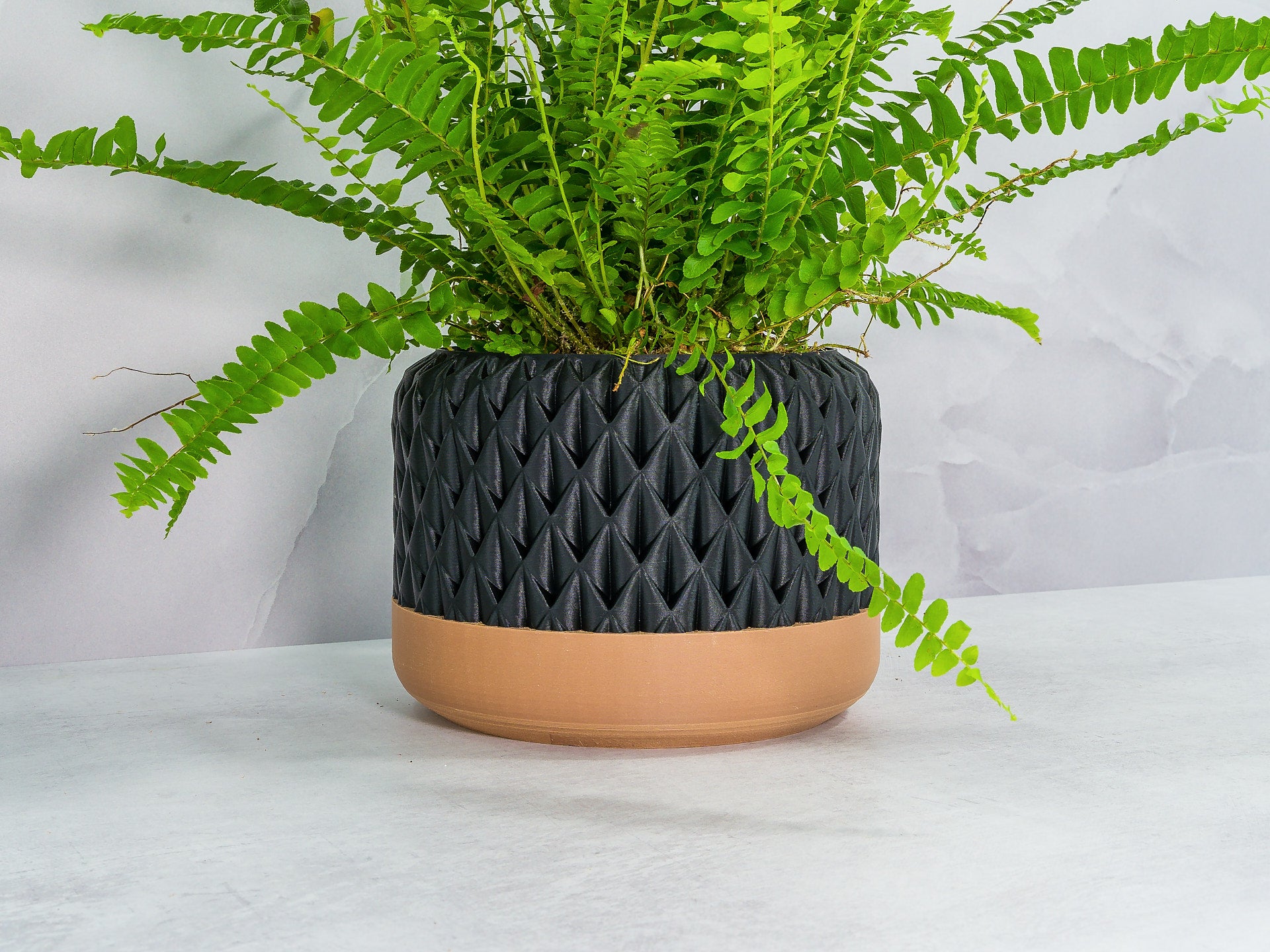 Angled with Fern: "Angled view of ANANAS planter with wood base and carbon fibre pattern, showcasing a fern plant."
