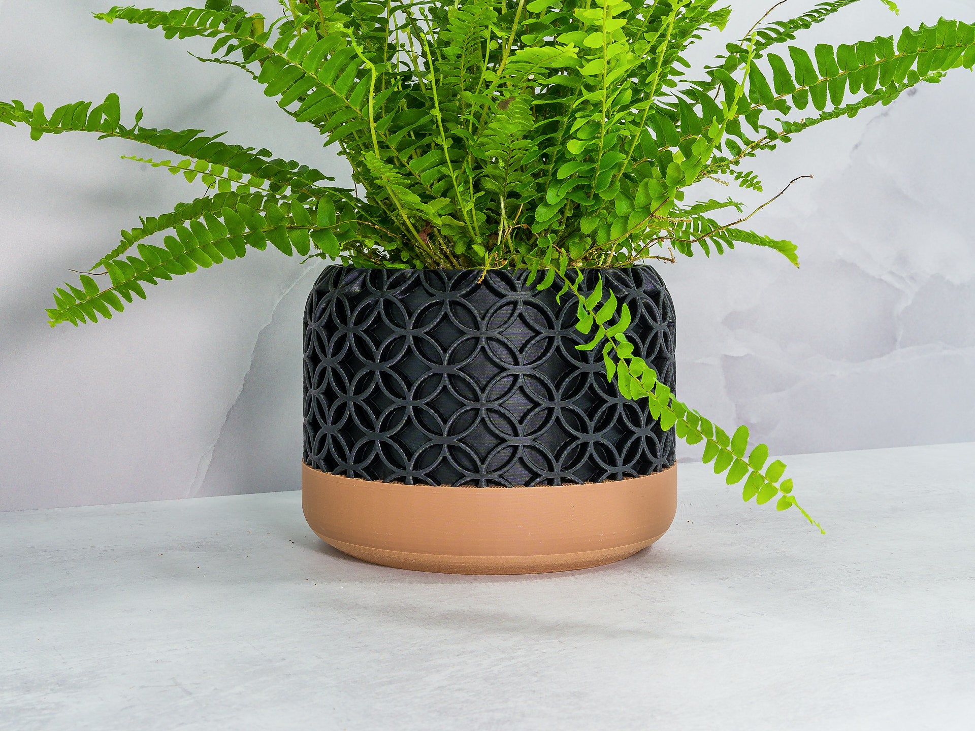 Angled with Fern: "Angled view of BLOSSOM planter with wood base and carbon fibre pattern, showcasing a fern plant."
