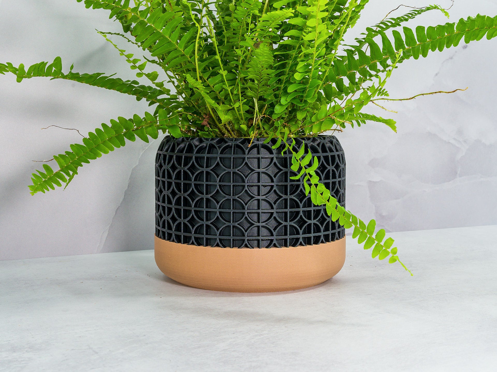 Angled with Fern: "Angled view of CROSSORB planter with wood base and carbon fibre pattern, showcasing a fern plant."
