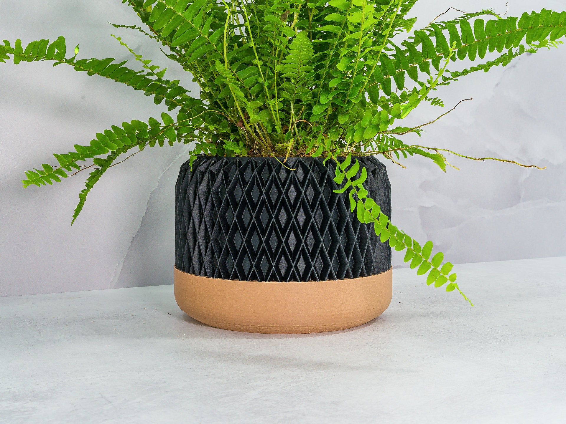 Angled with Fern: "Angled view of DIAM planter with wood base and carbon fibre pattern, showcasing a fern plant."
