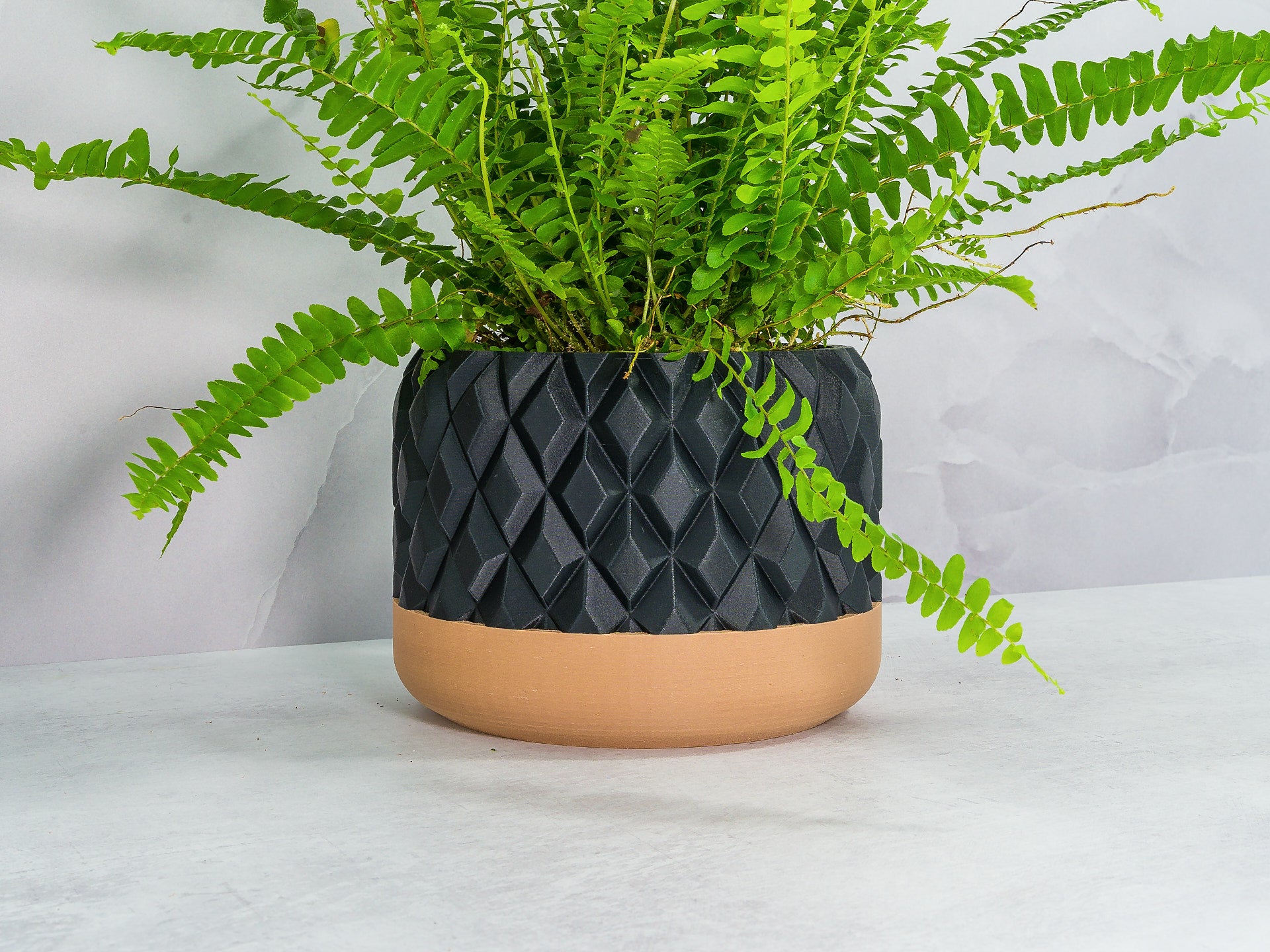 Angled with Fern: "Angled view of GEM planter with wood base and carbon fibre pattern, showcasing a fern plant."
