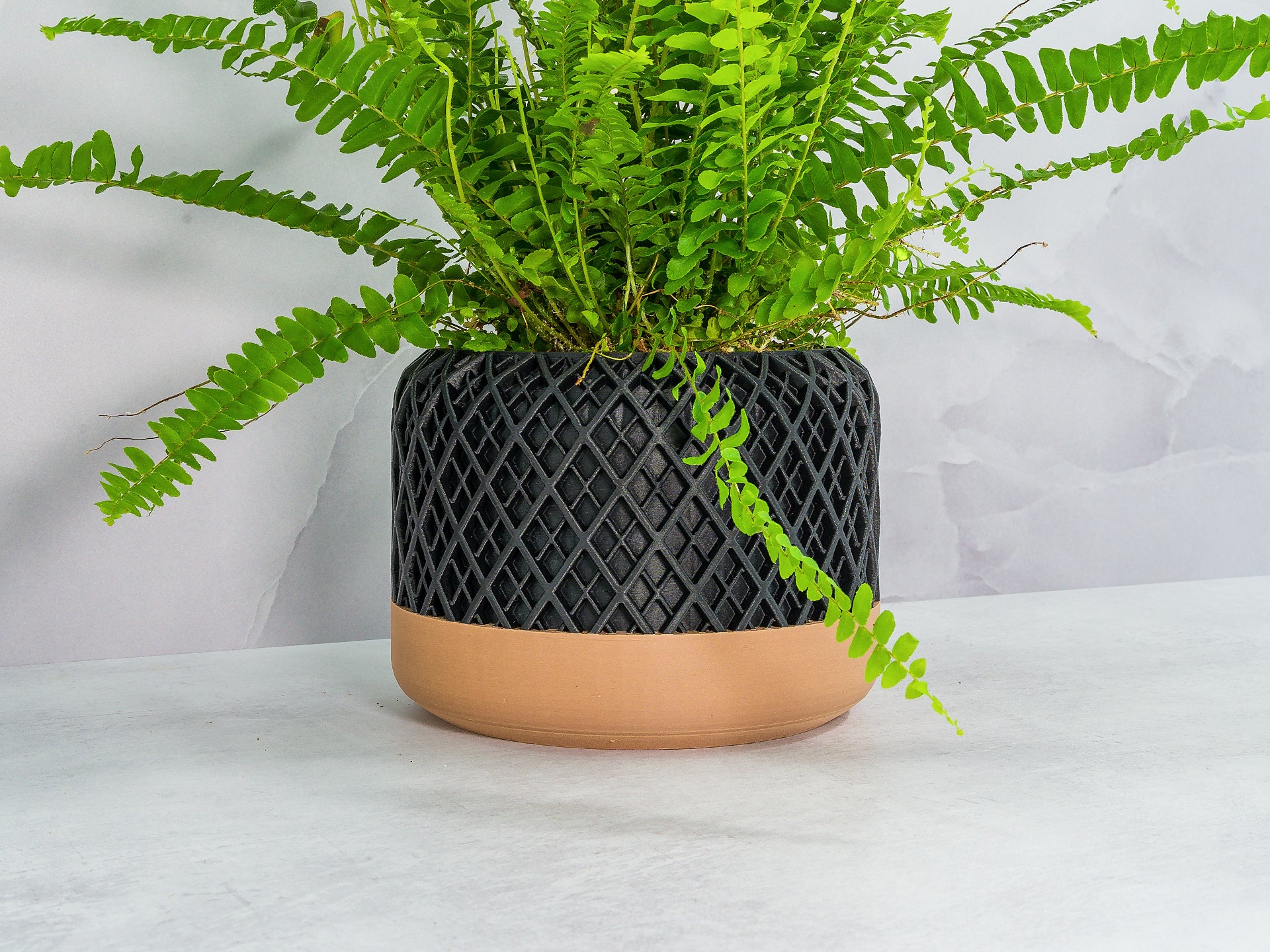 Angled with Fern: "Angled view of HATCH planter with wood base and carbon fibre pattern, showcasing a fern plant."
