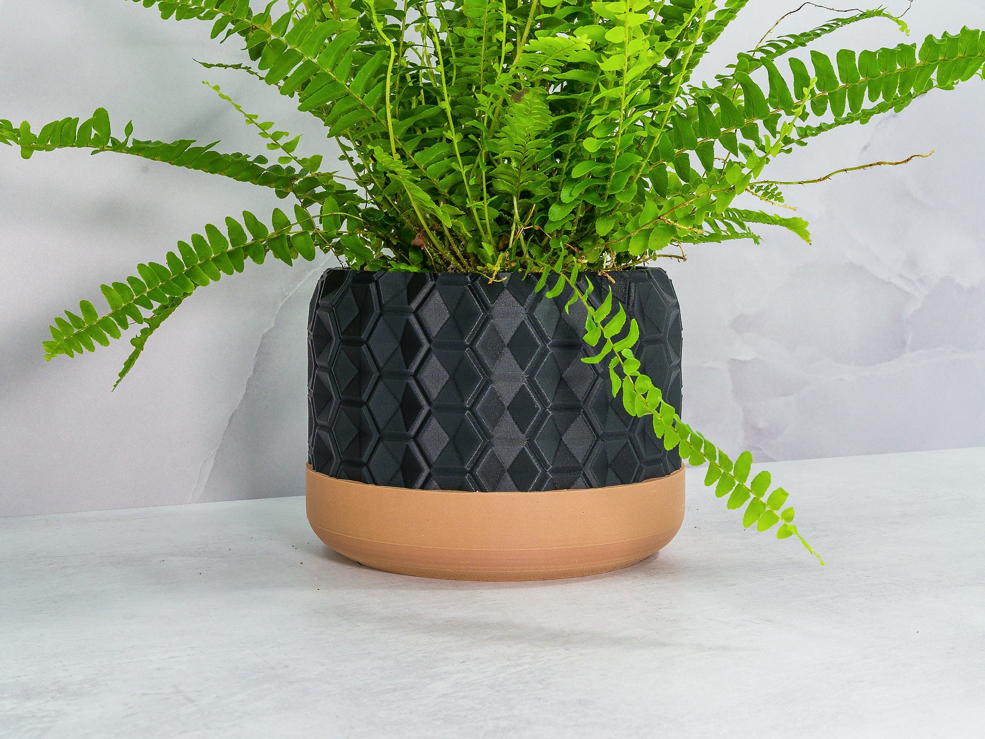 Angled with Fern: "Angled view of HEXA planter with wood base and carbon fibre pattern, showcasing a fern plant."
