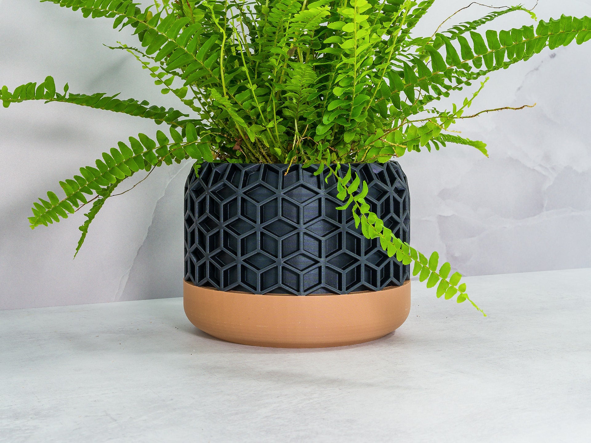 Angled with Fern: "Angled view of HONEYCOMB planter with wood base and carbon fibre pattern, showcasing a fern plant."
