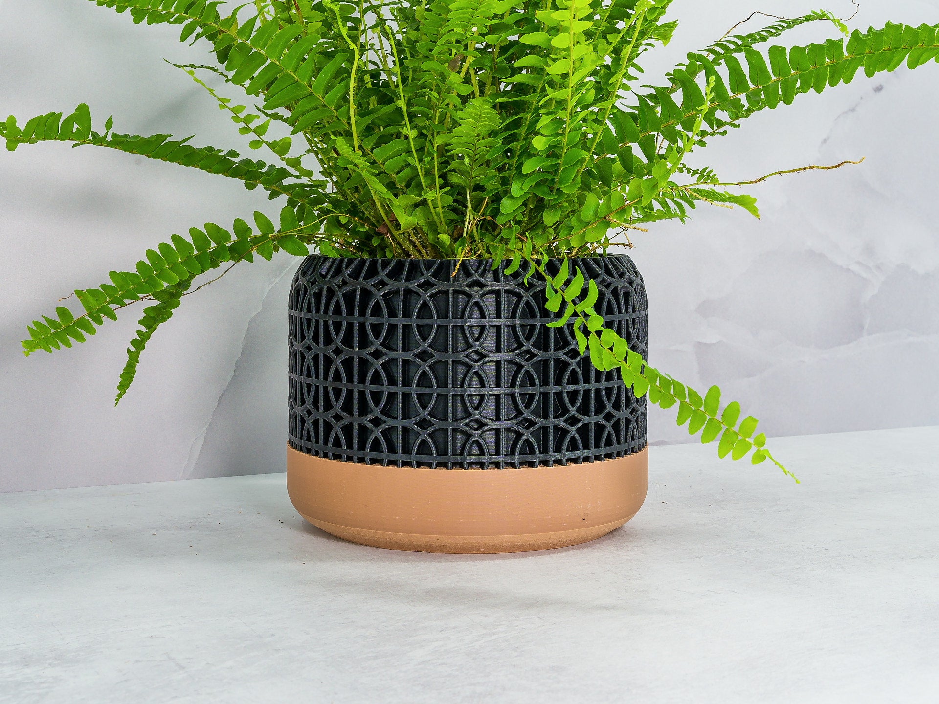 Angled with Fern: "Angled view of INTERSECT planter with wood base and carbon fibre pattern, showcasing a fern plant."
