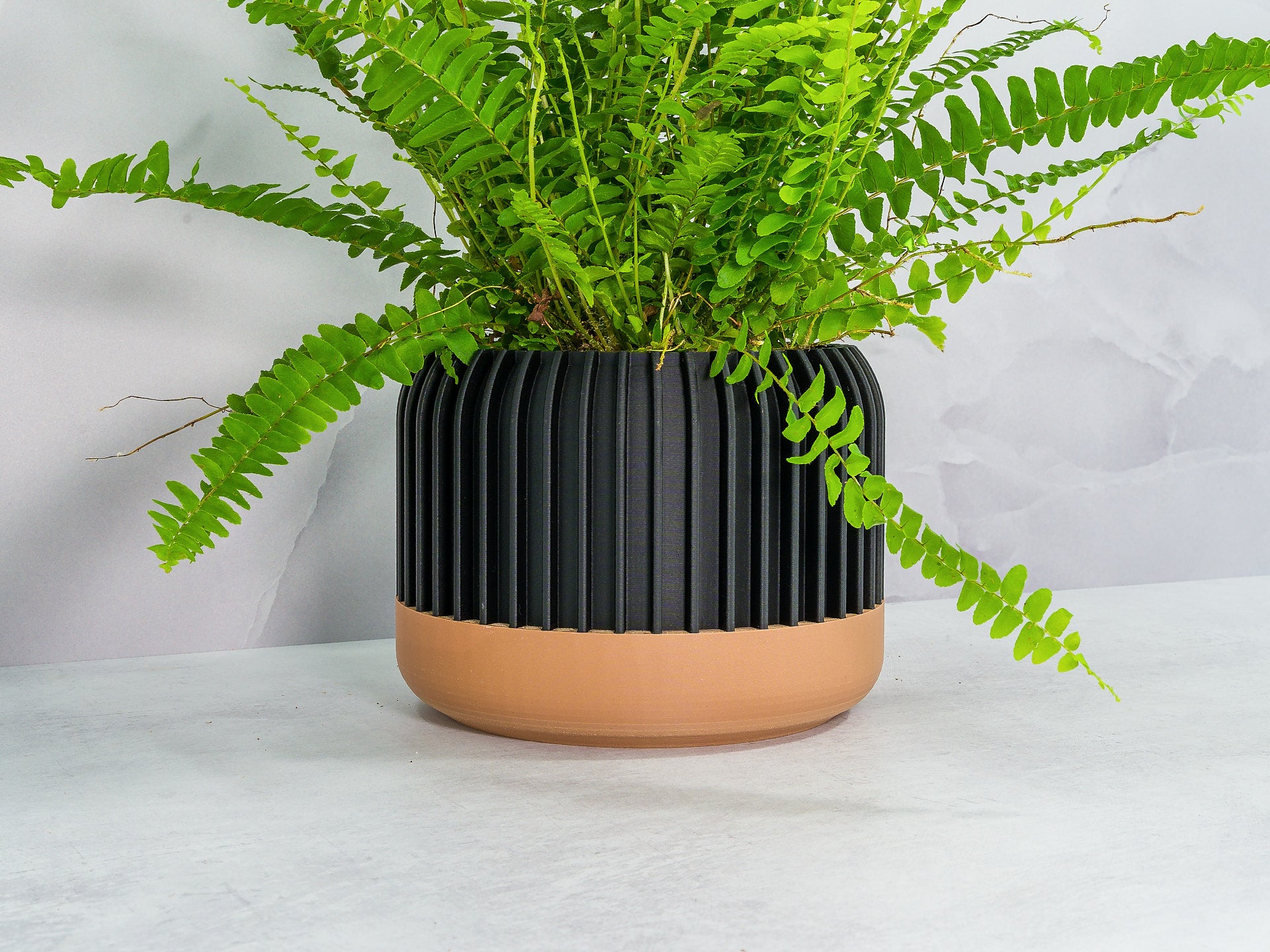 Angled with Fern: "Angled view of LINEAR planter with wood base and carbon fibre pattern, showcasing a fern plant."
