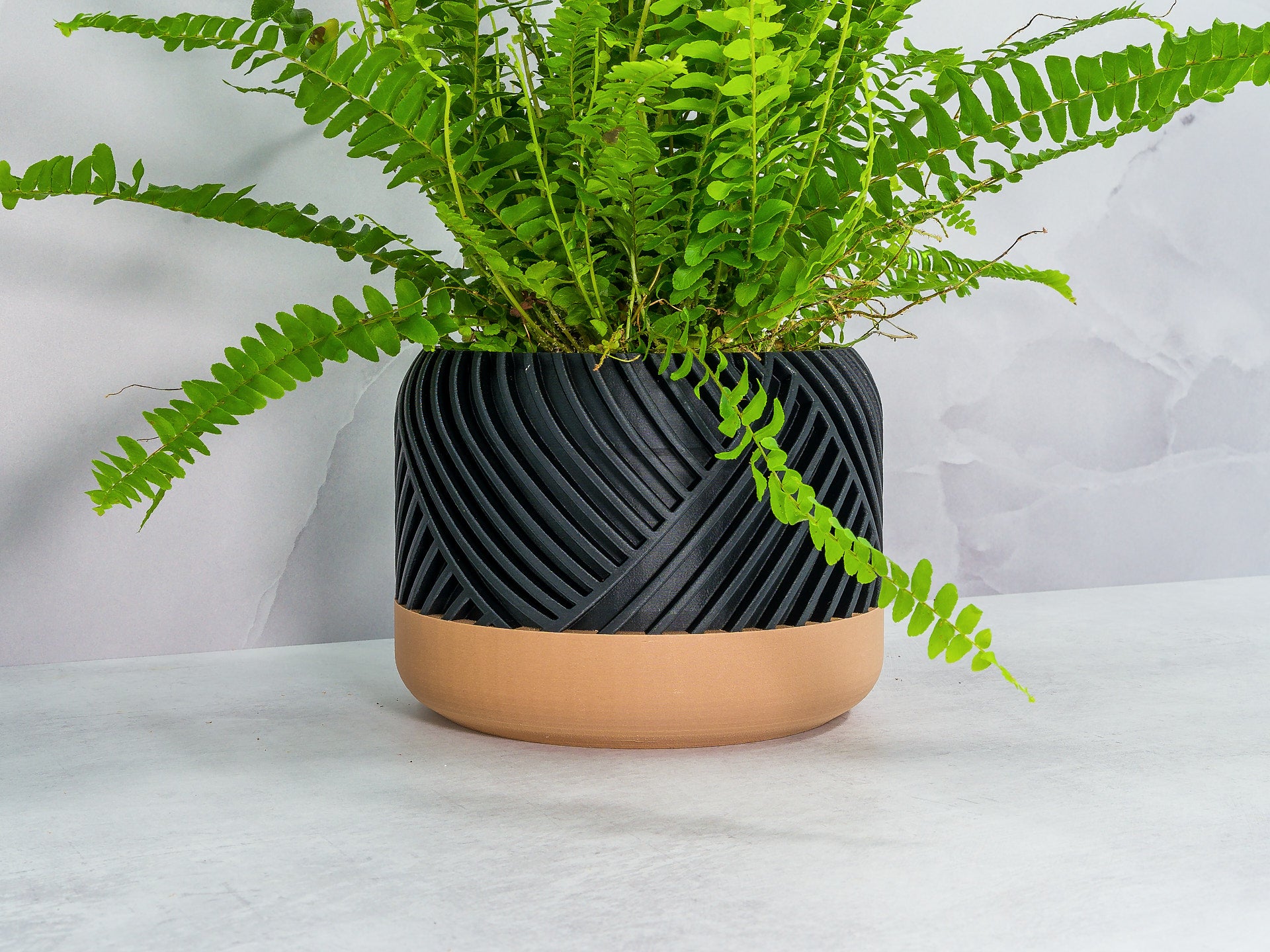 Angled with Fern: "Angled view of PEAK planter with wood base and carbon fibre pattern, showcasing a fern plant."
