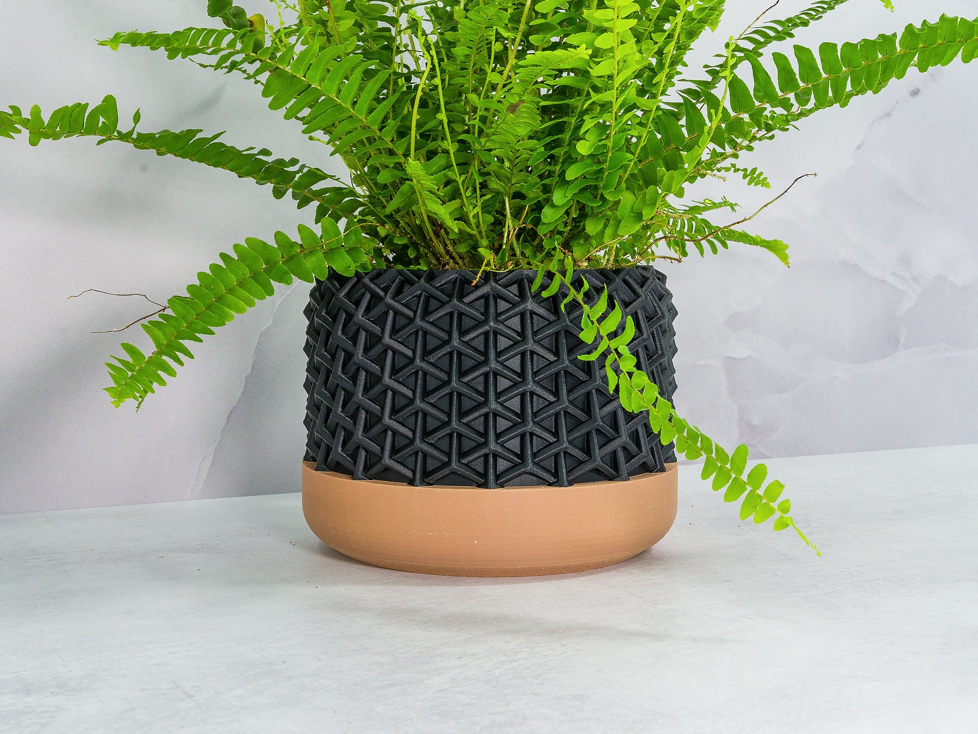 Angled with Fern: "Angled view of STELLAR planter with wood base and carbon fibre pattern, showcasing a fern plant."
