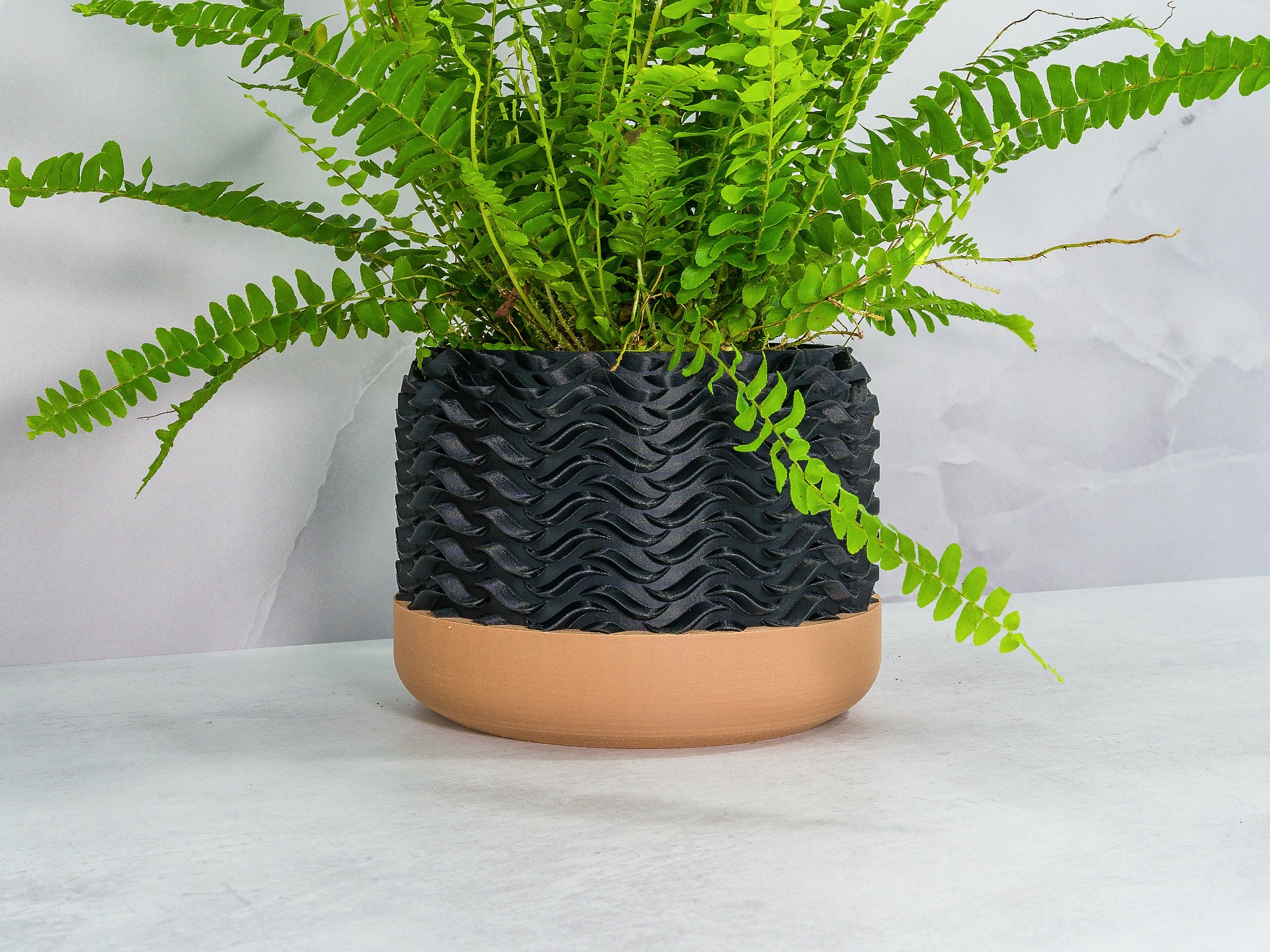 Angled with Fern: "Angled view of TIDAL planter with wood base and carbon fibre pattern, showcasing a fern plant."
