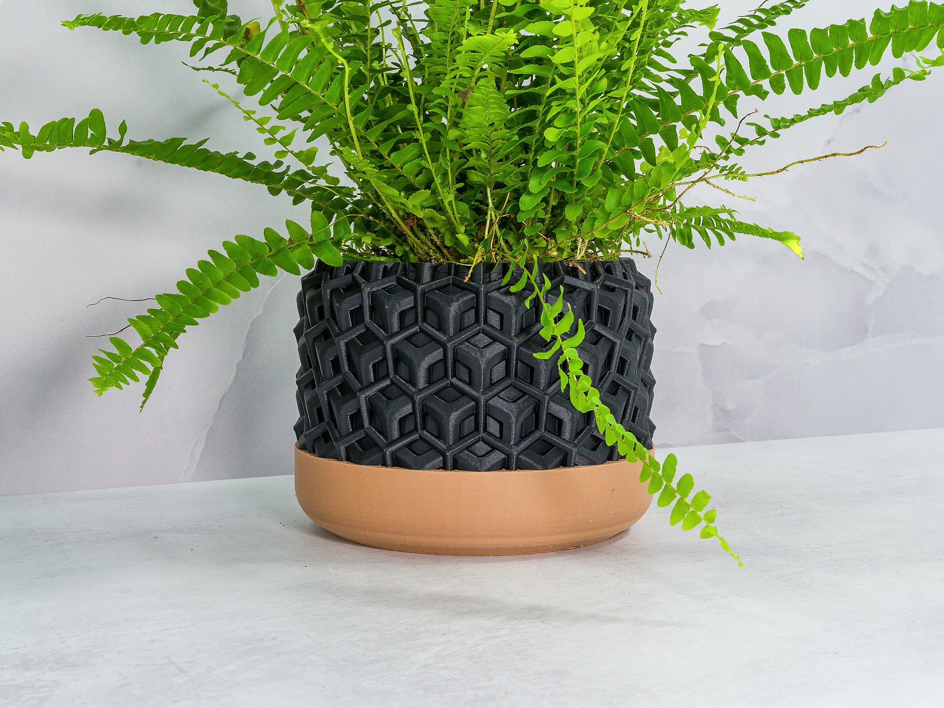 Angled with Fern: "Angled view of TRANSFORM planter with wood base and carbon fibre pattern, showcasing a fern plant."
