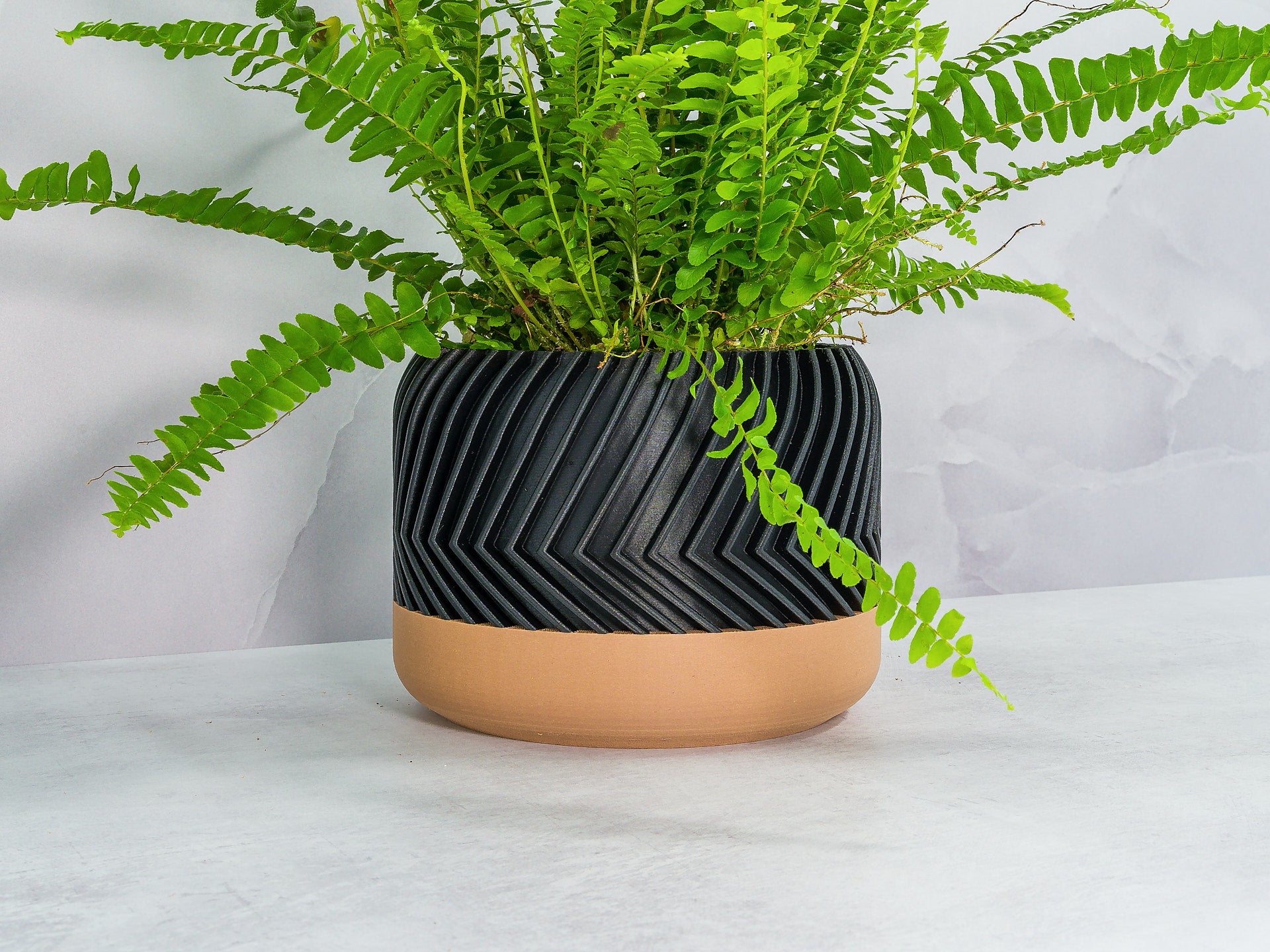 Angled with Fern: "Angled view of TREAD planter with wood base and carbon fibre pattern, showcasing a fern plant."
