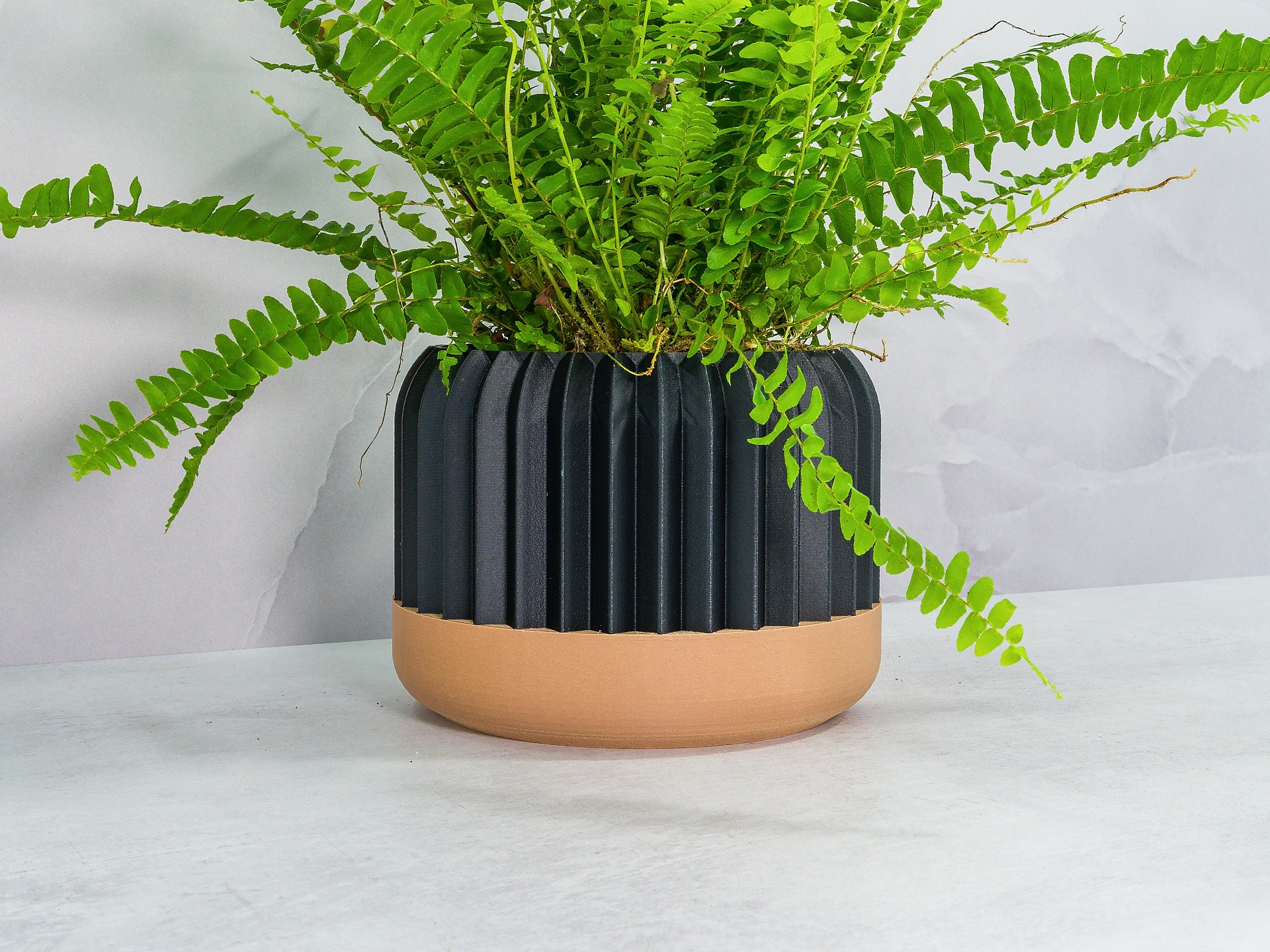 Angled with Fern: "Angled view of TRILINEAR planter with wood base and carbon fibre pattern, showcasing a fern plant."
