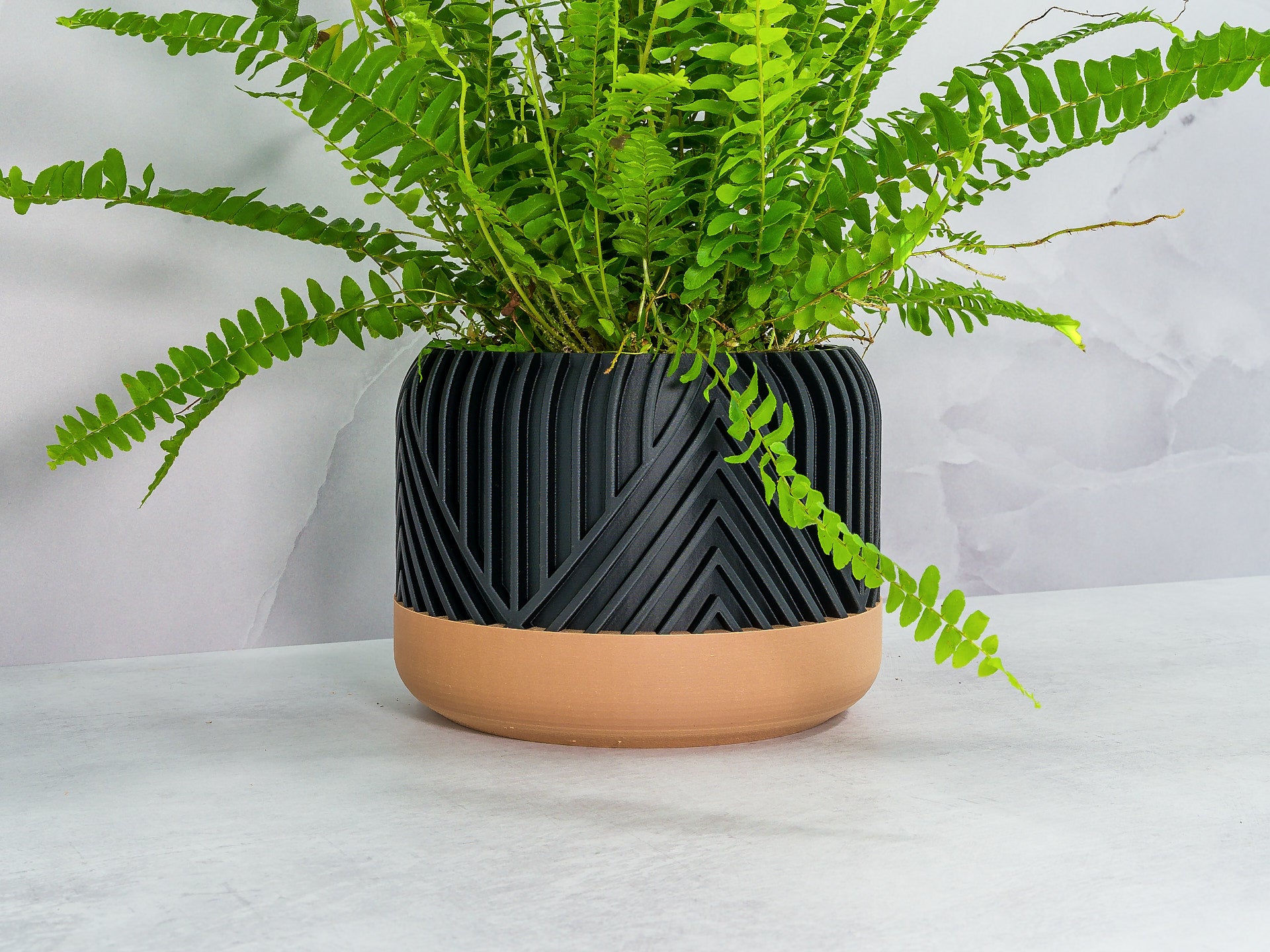 Angled with Fern: "Angled view of VERTI planter with wood base and carbon fibre pattern, showcasing a fern plant."
