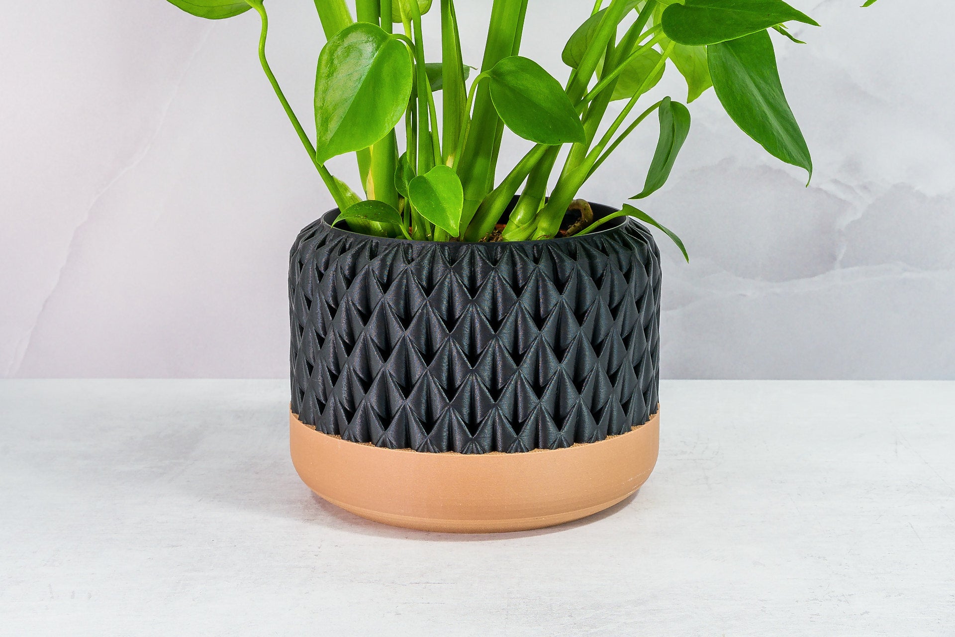 Zoomed In with Monstera: "Close-up of ANANAS planter with wood base and carbon fibre pattern, featuring a monstera plant."
