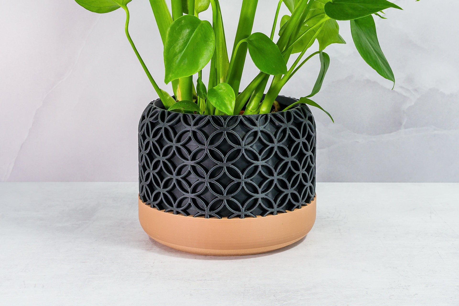 Zoomed In with Monstera: "Close-up of BLOSSOM planter with wood base and carbon fibre pattern, featuring a monstera plant."
