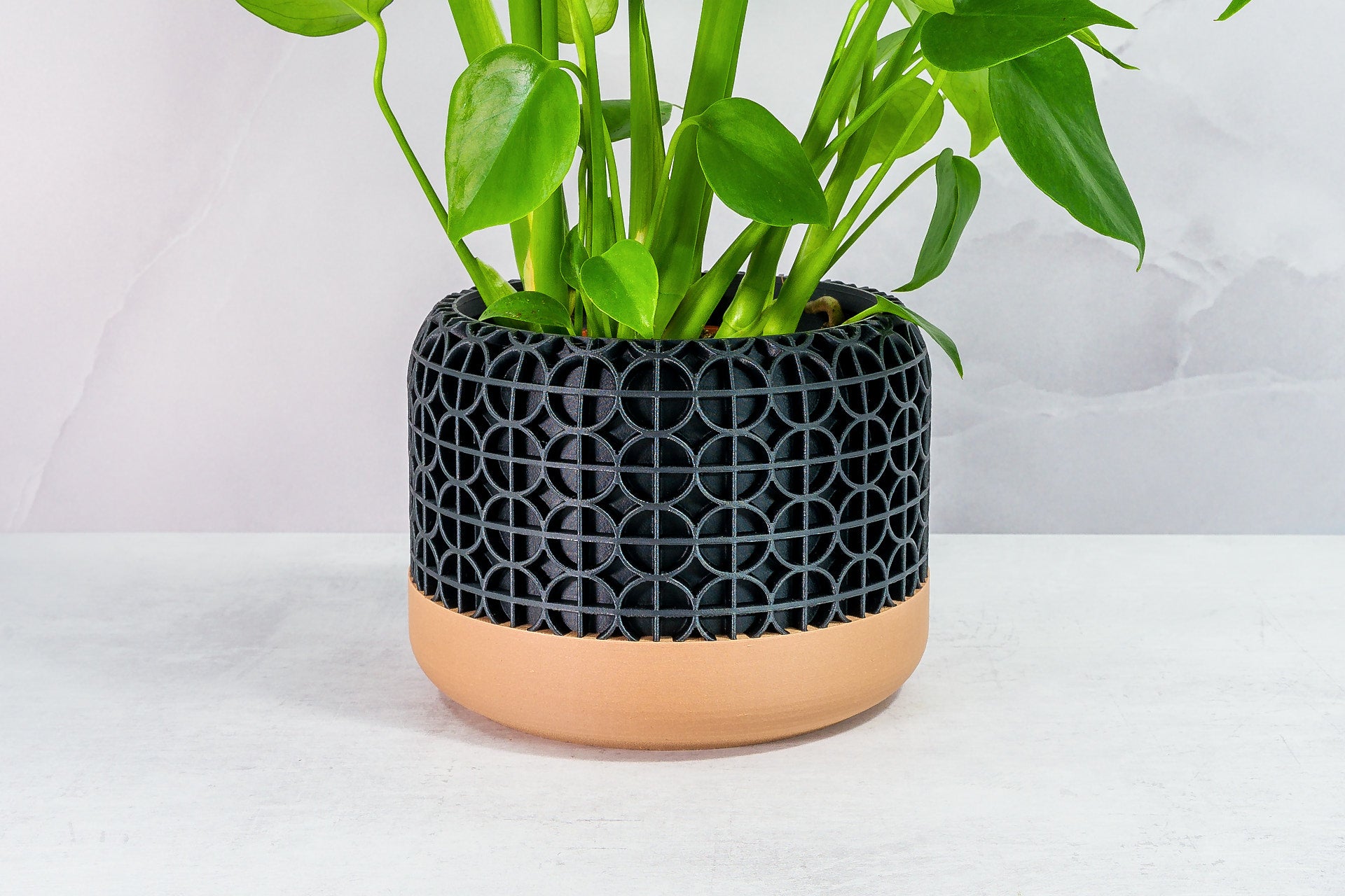 Zoomed In with Monstera: "Close-up of CROSSORB planter with wood base and carbon fibre pattern, featuring a monstera plant."
