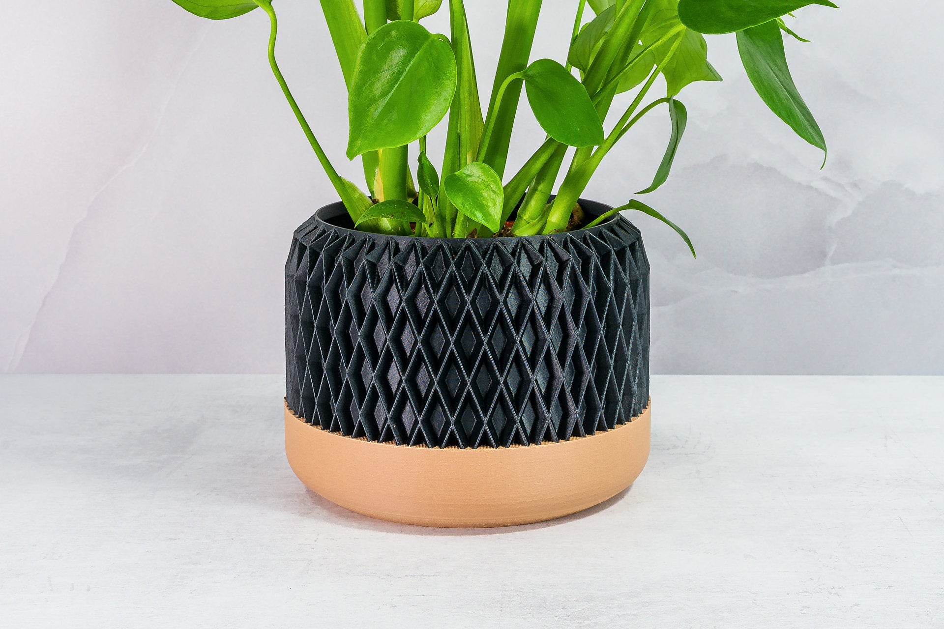 Zoomed In with Monstera: "Close-up of DIAM planter with wood base and carbon fibre pattern, featuring a monstera plant."
