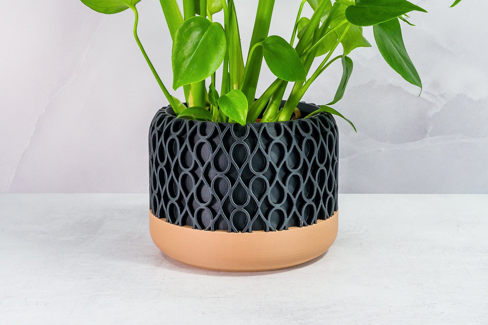 Zoomed In with Monstera: "Close-up of DROPLET planter with wood base and carbon fibre pattern, featuring a monstera plant."
