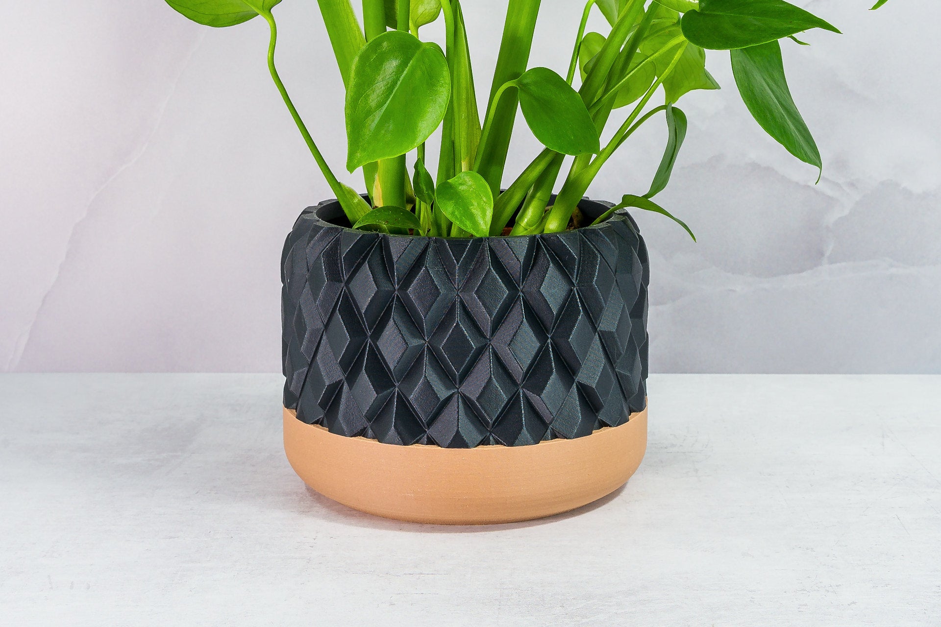 Zoomed In with Monstera: "Close-up of GEM planter with wood base and carbon fibre pattern, featuring a monstera plant."
